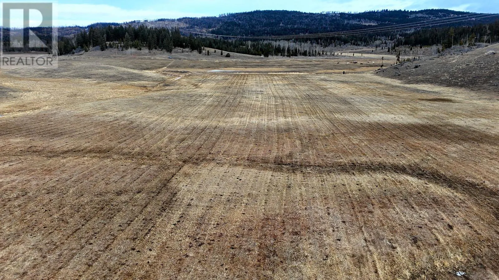 80 Acres Old Meadow Creek Road