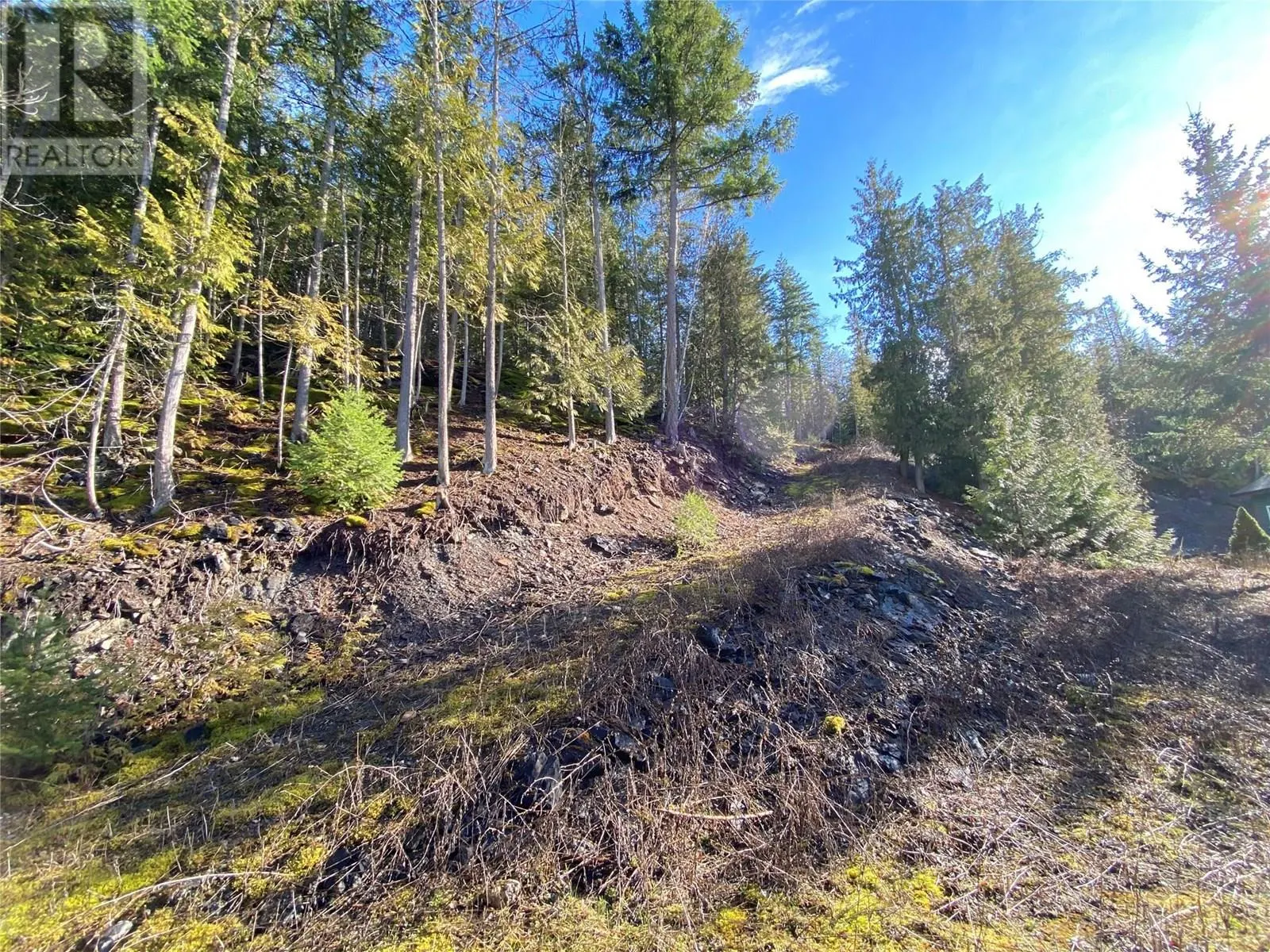 1665 Blind Bay Road