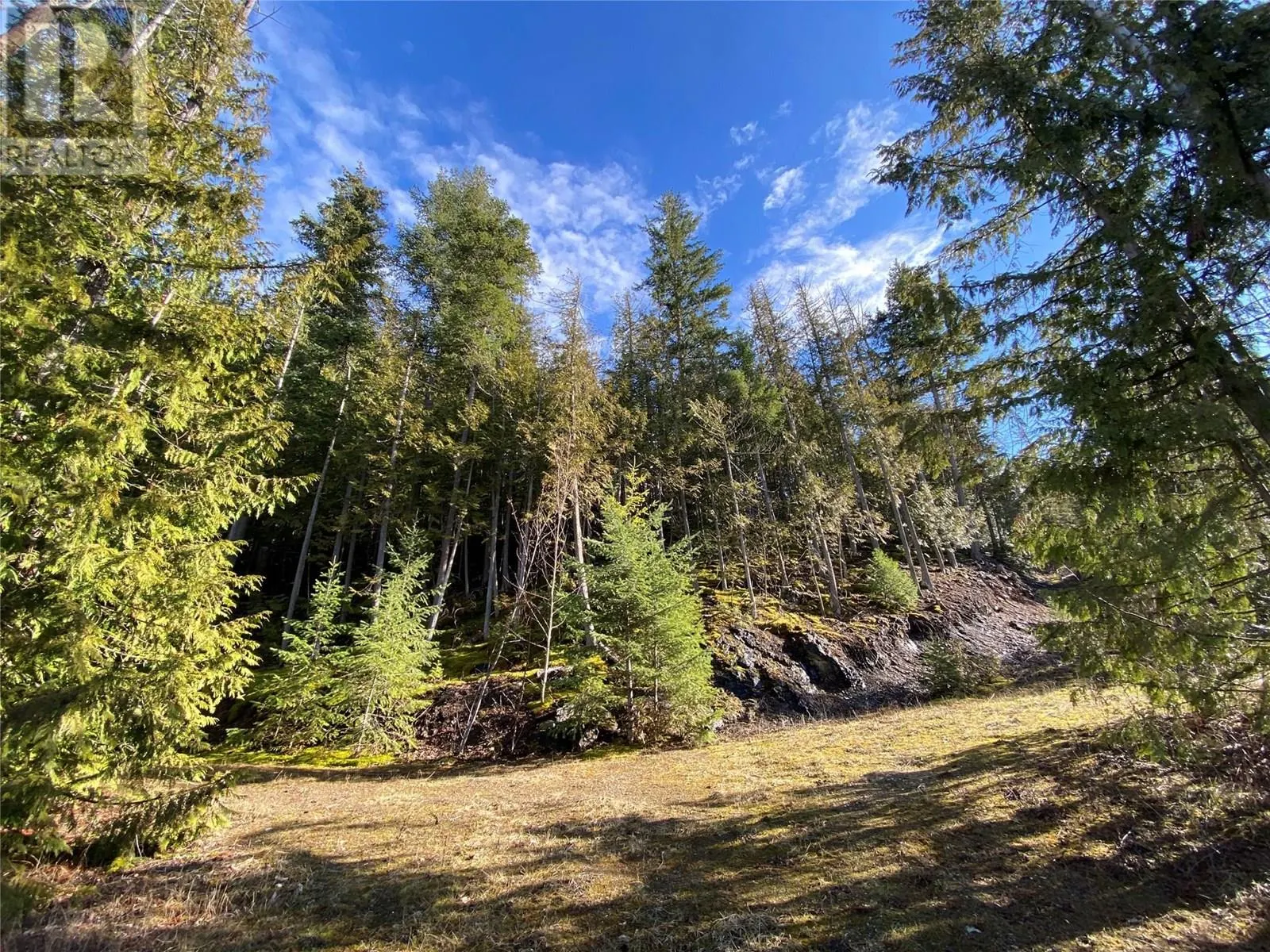 1665 Blind Bay Road