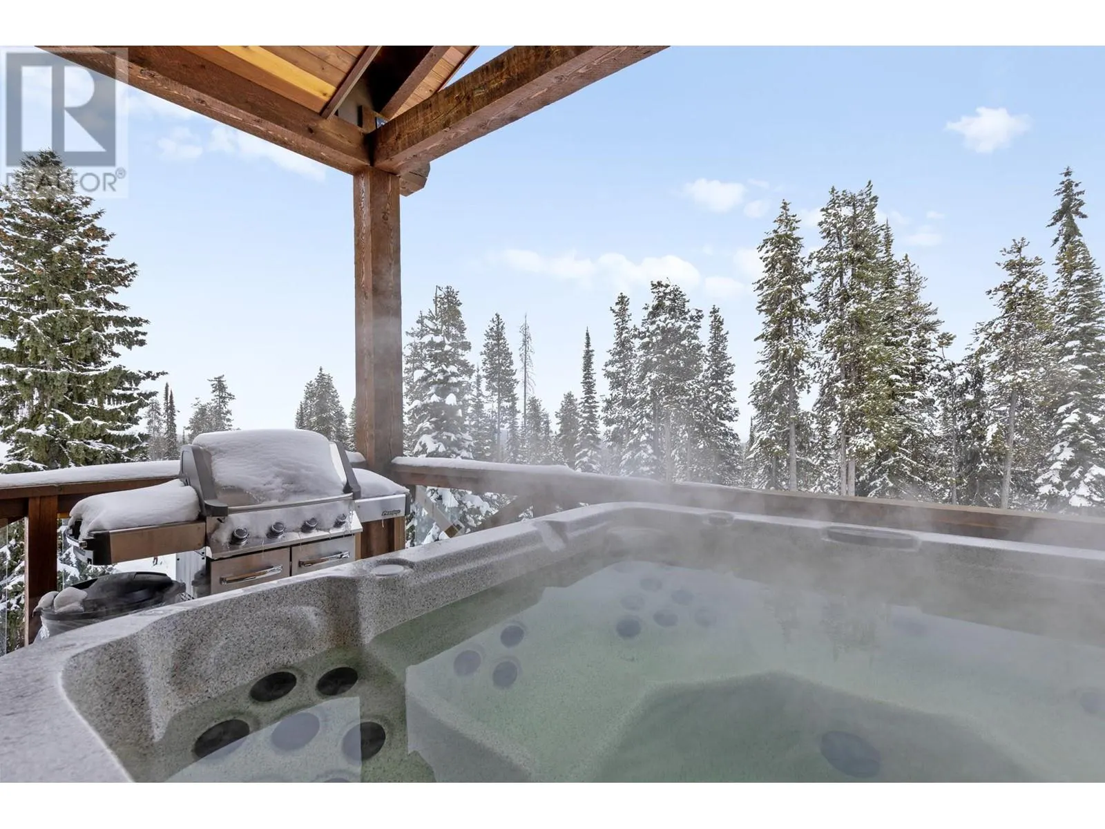 4899 Snowpines Road Unit# A