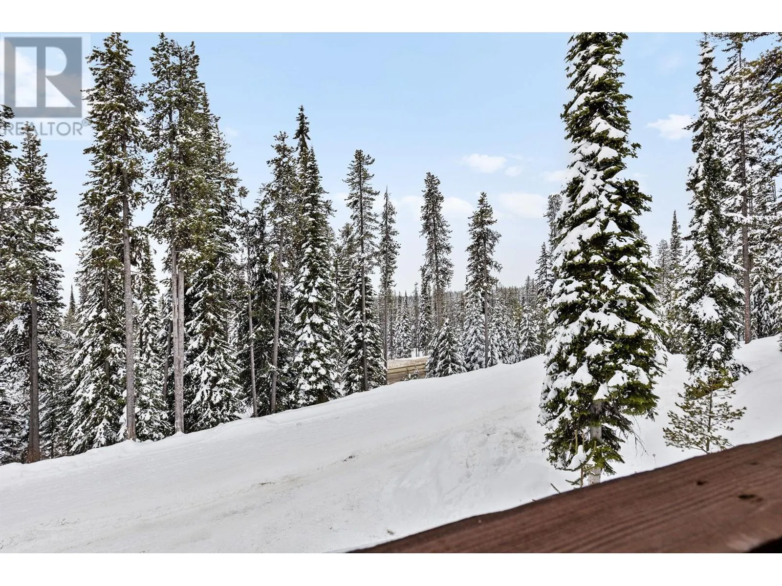 4899 Snowpines Road Unit# A