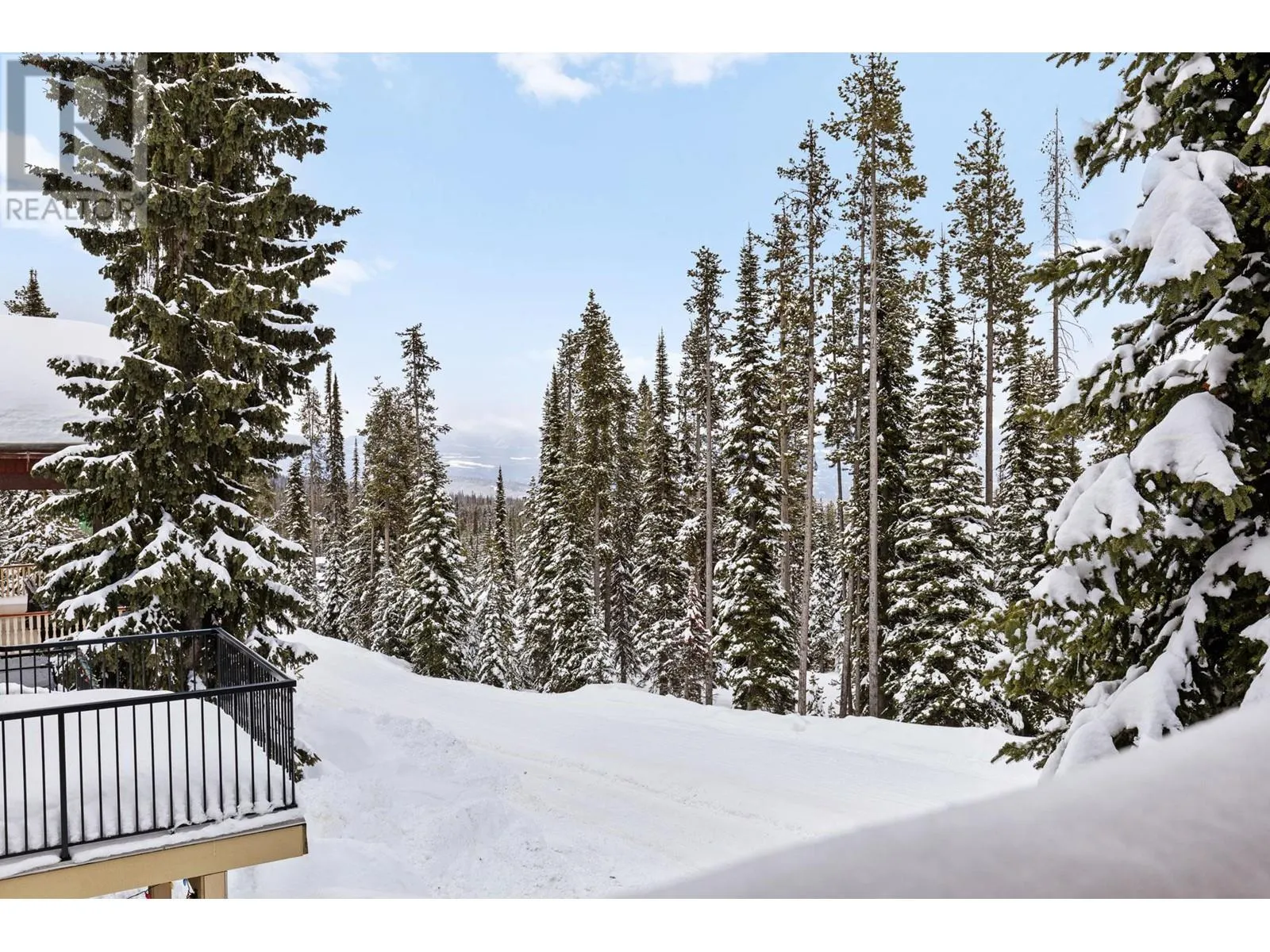 4899 Snowpines Road Unit# A
