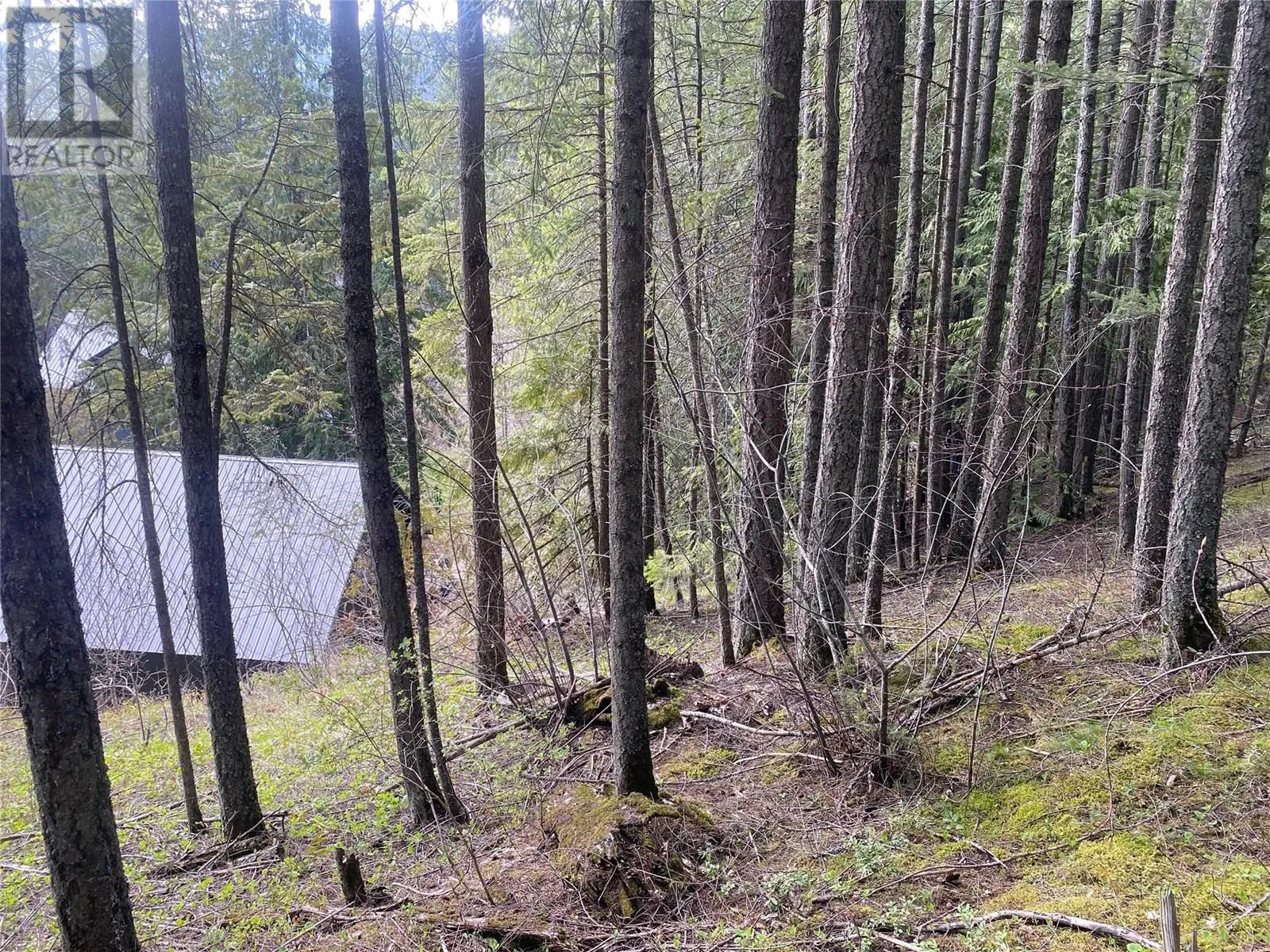 7463 Black Road SE