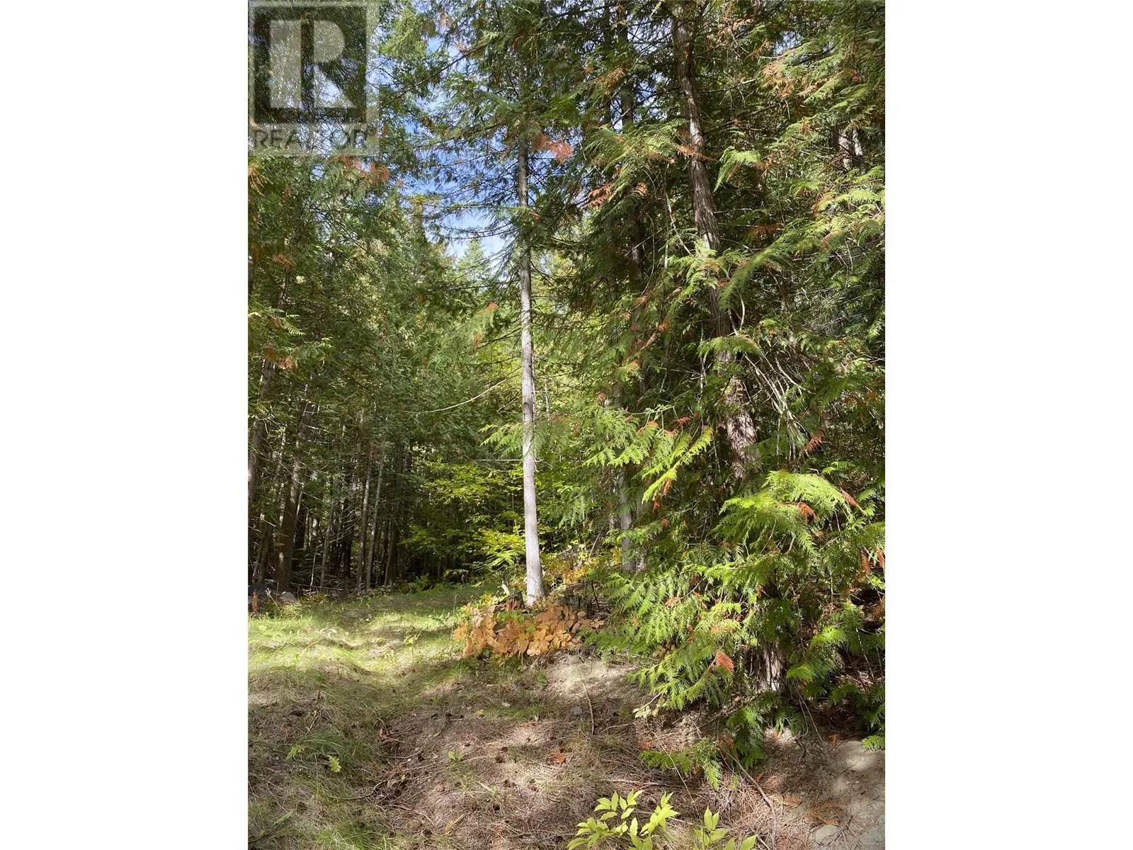 7463 Black Road SE