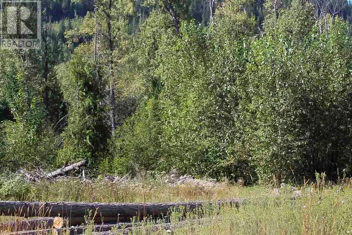 2524 Enderby Mabel Lake Road