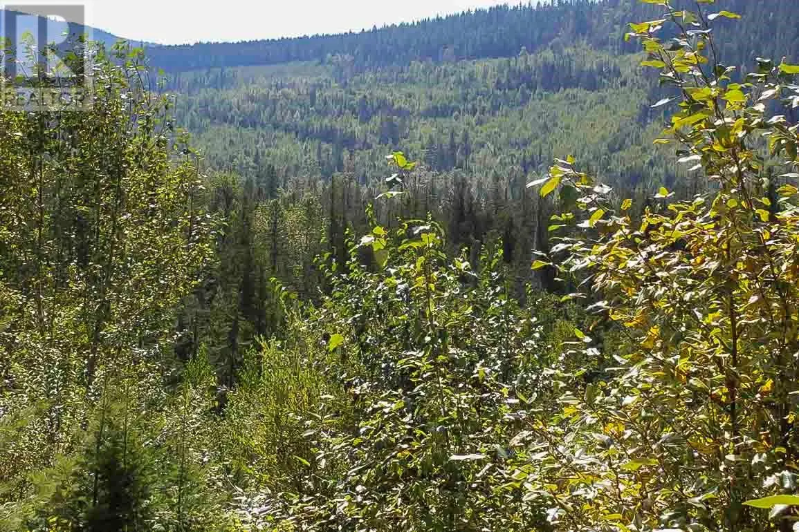 2524 Enderby Mabel Lake Road