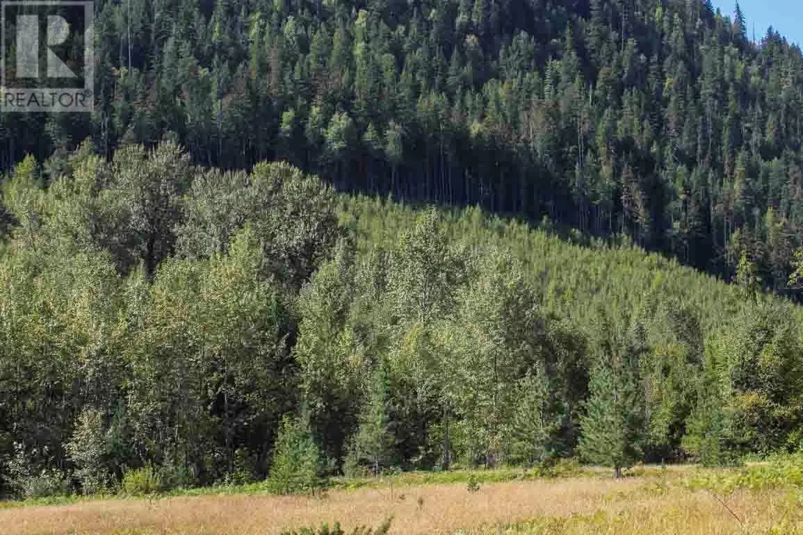 2524 Enderby Mabel Lake Road