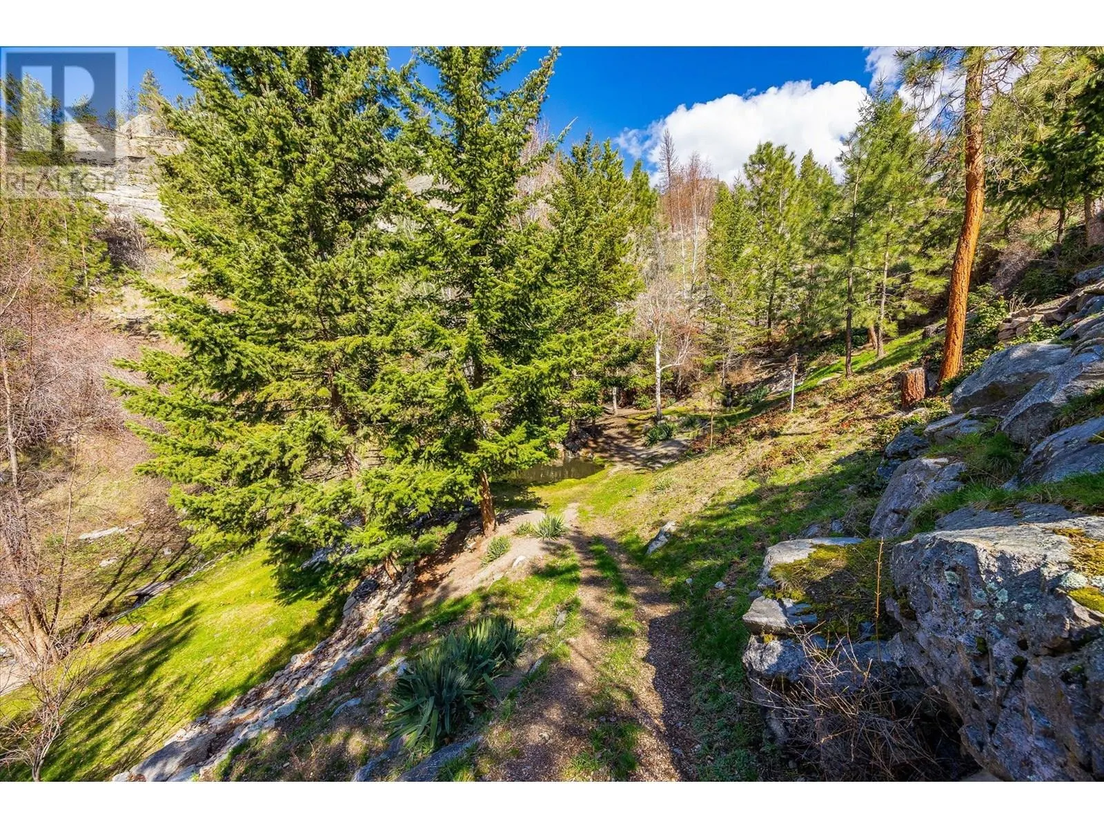 161 Christie Mountain Lane