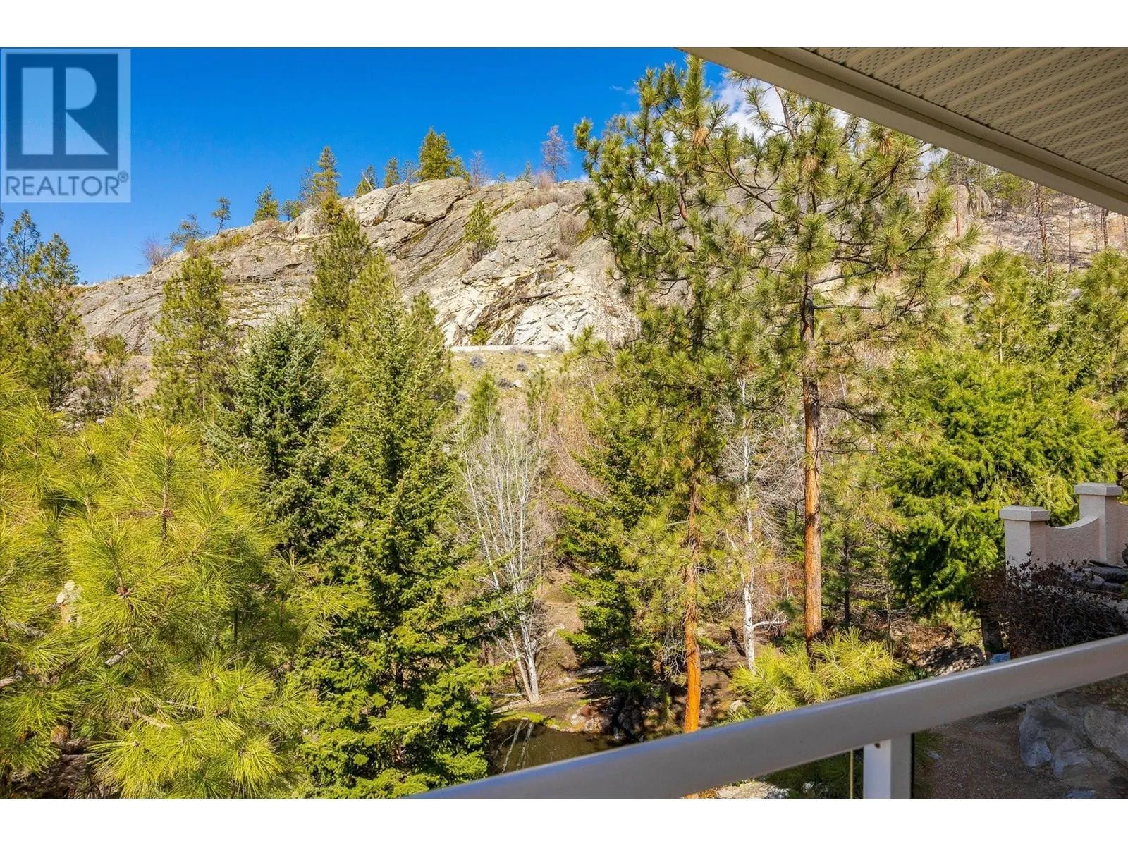 161 Christie Mountain Lane