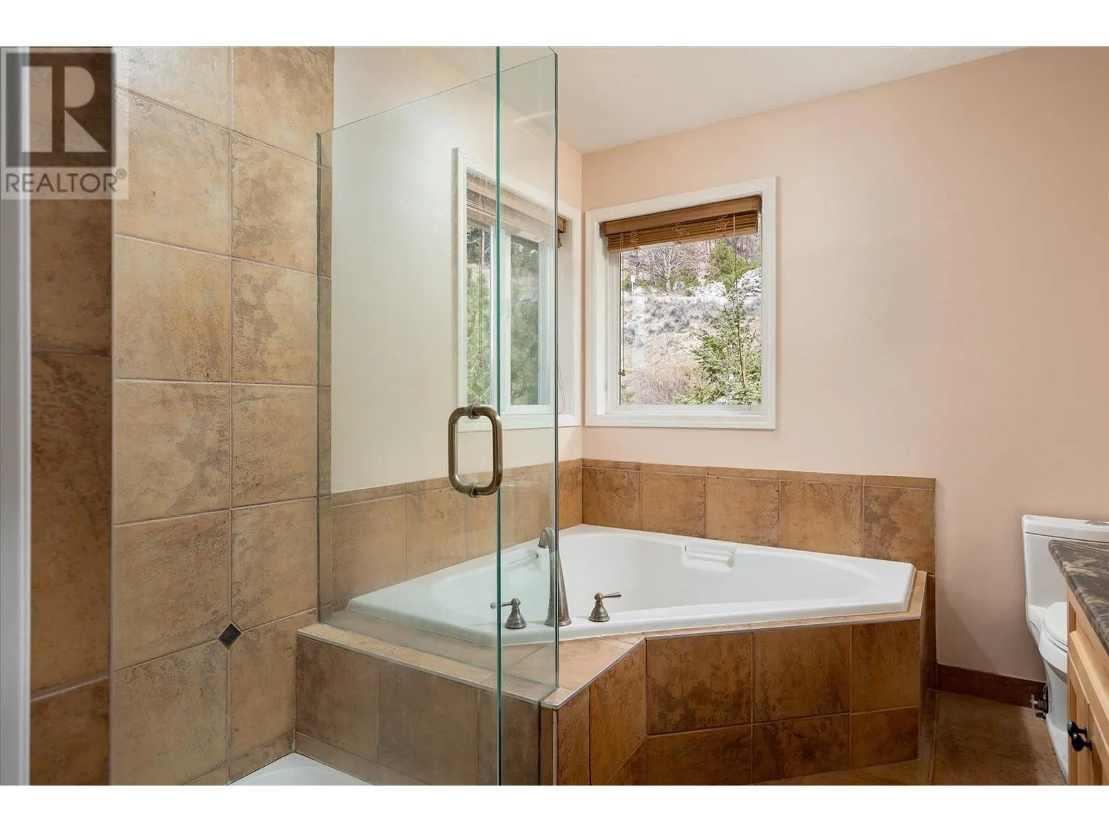 161 Christie Mountain Lane