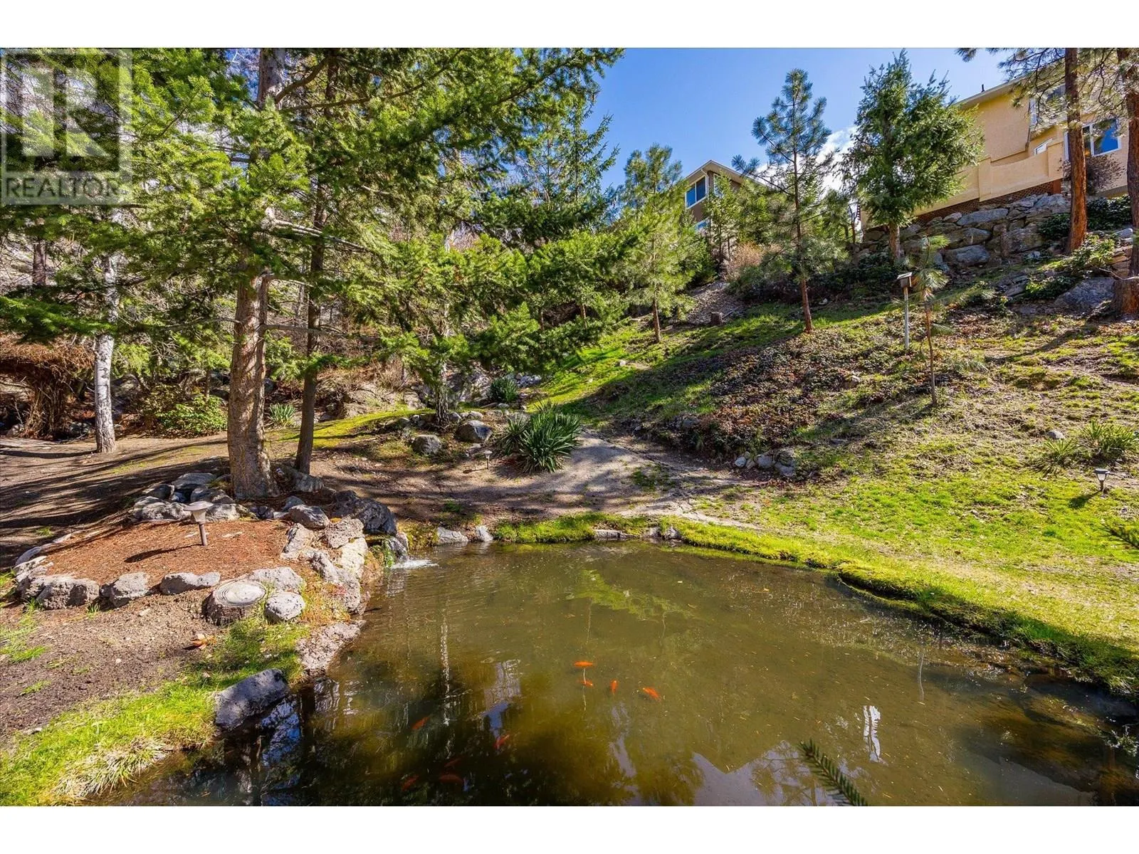 161 Christie Mountain Lane