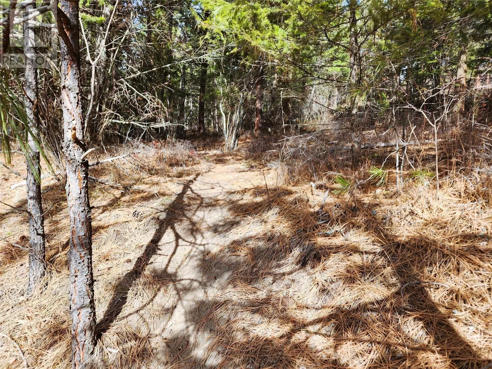 10742 Pinecrest Road Lot# 85