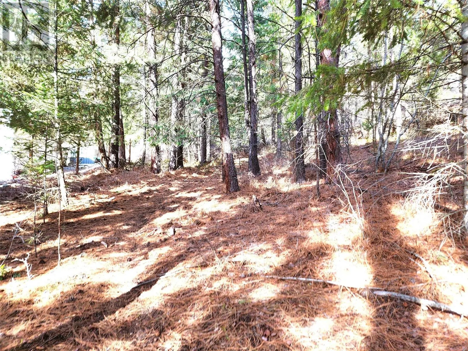 10742 Pinecrest Road Lot# 85
