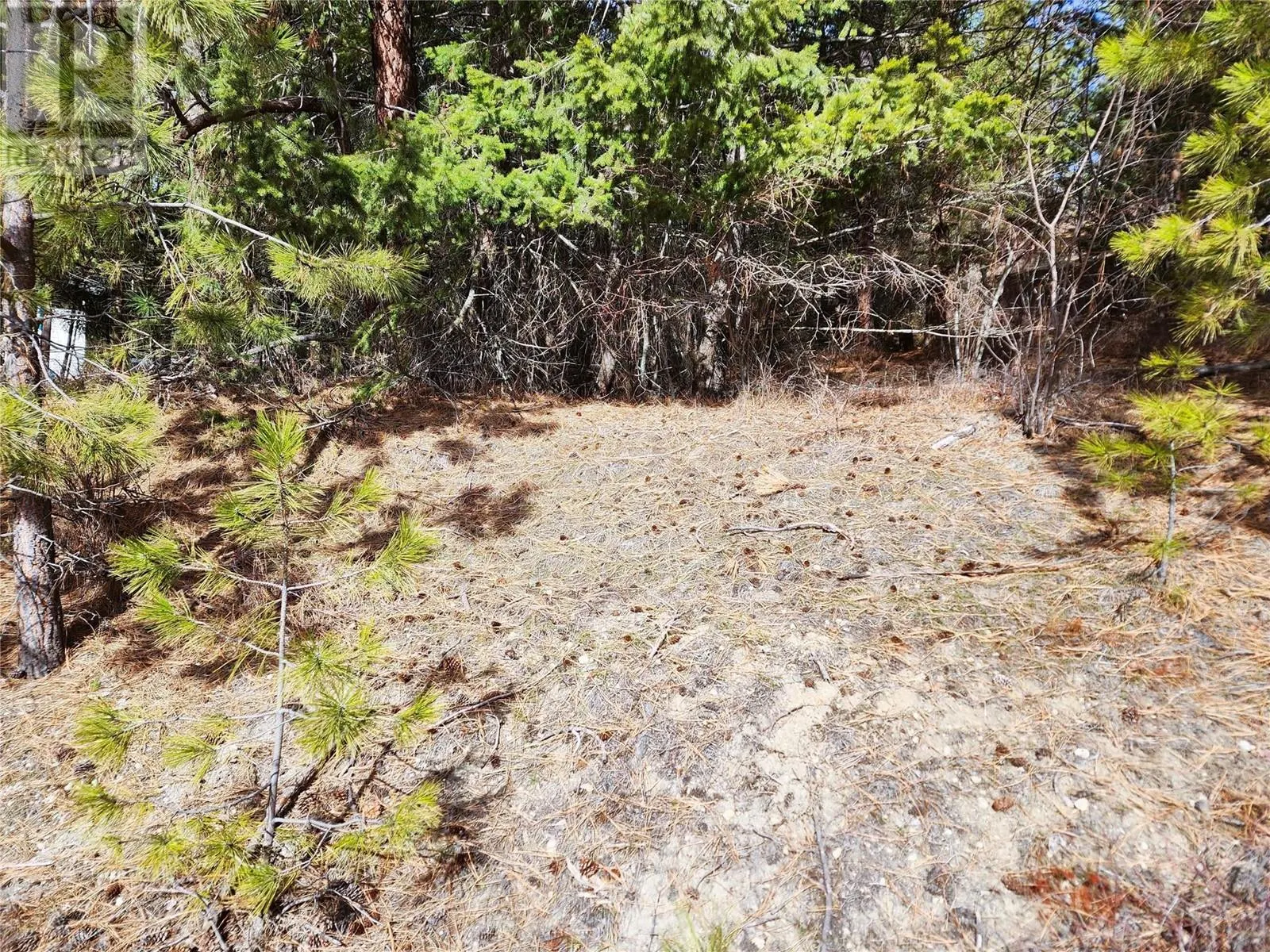 10742 Pinecrest Road Lot# 85