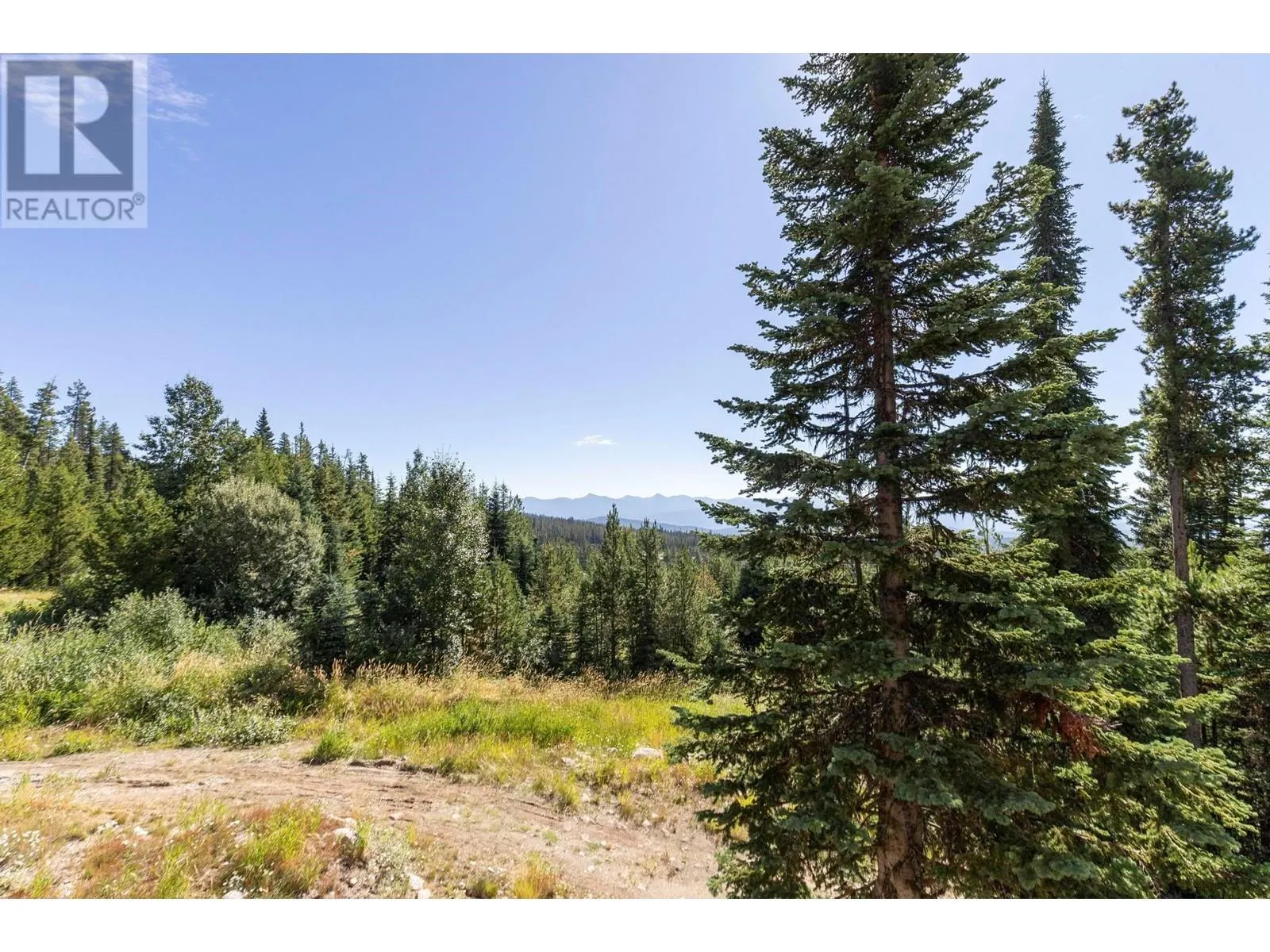 4939 Snow Pines Road Unit# 4