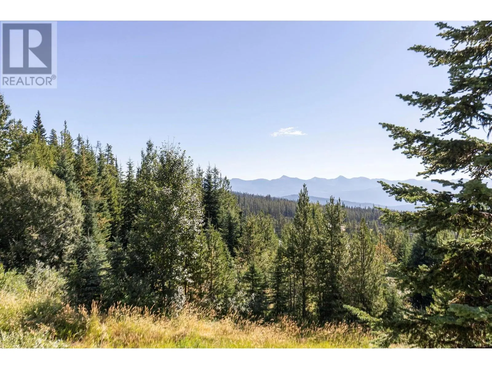 4939 Snow Pines Road Unit# 4