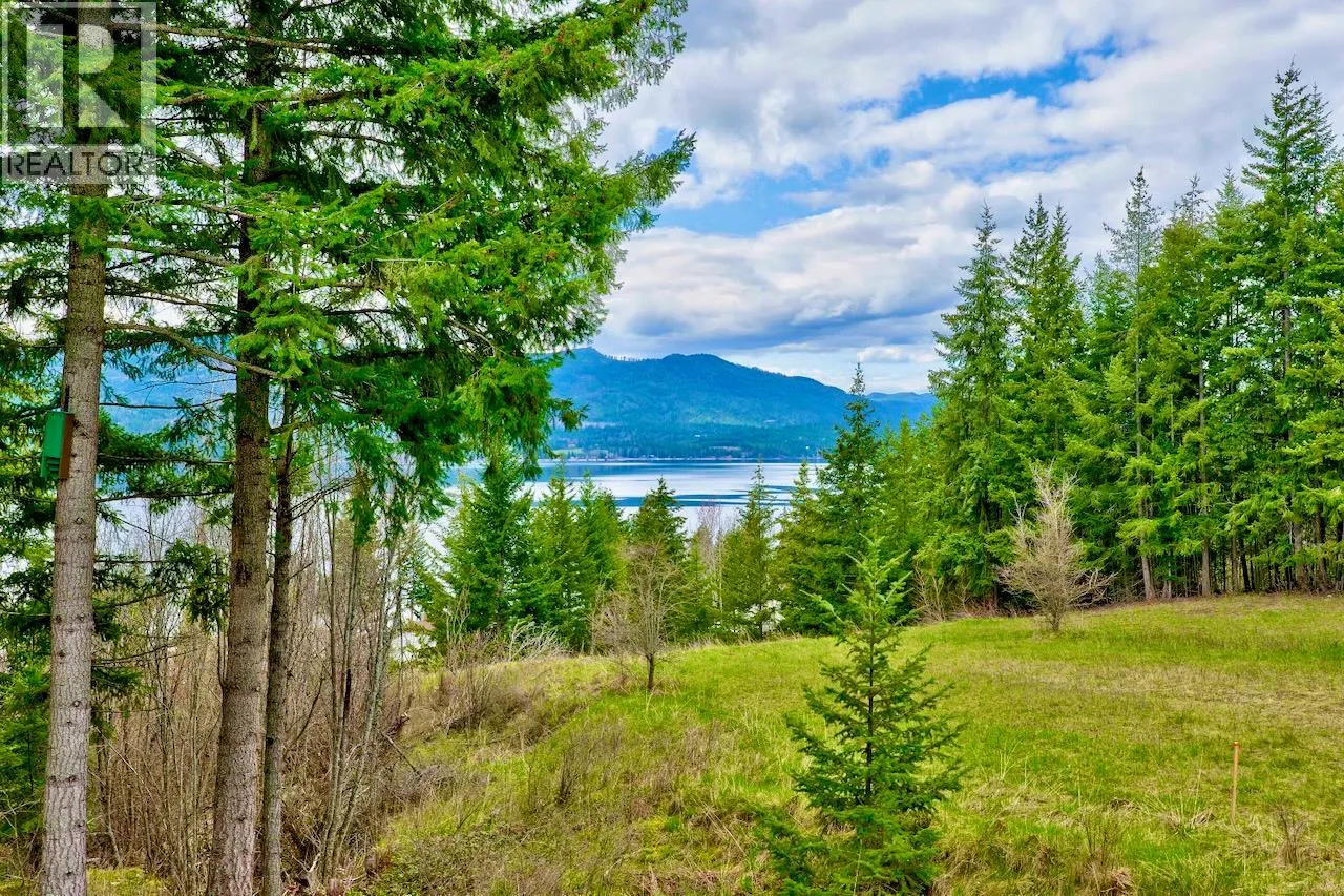 2589 Airstrip Road