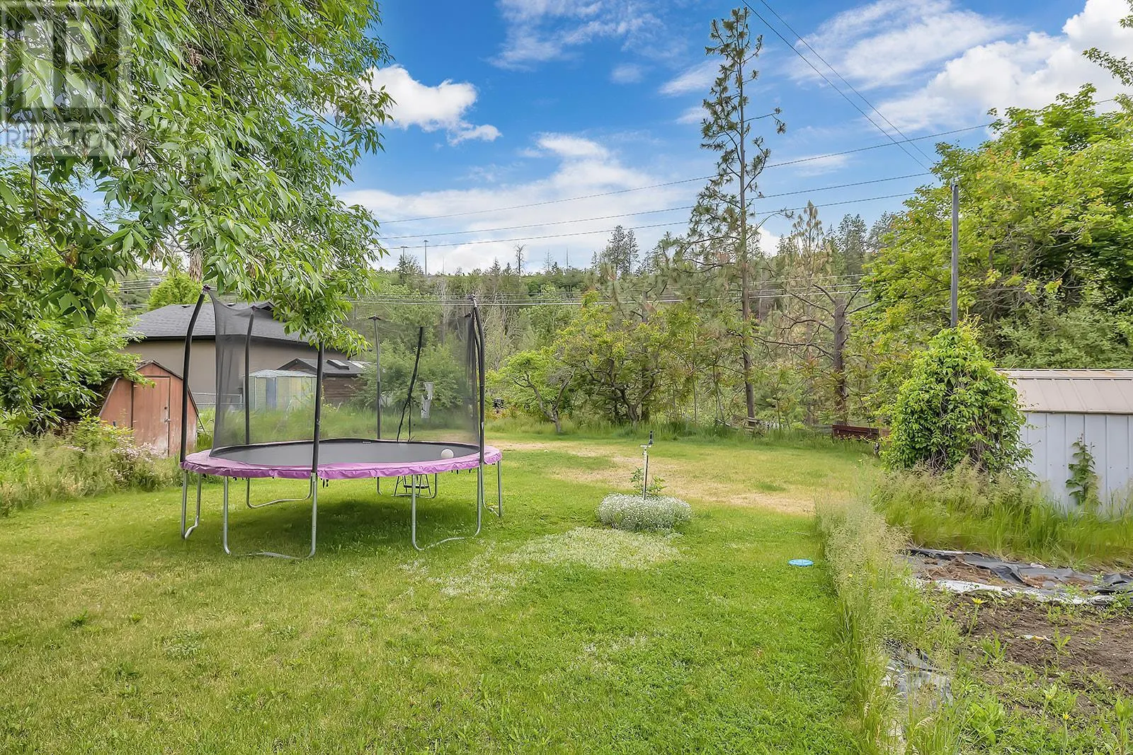 811 Tamarack Drive