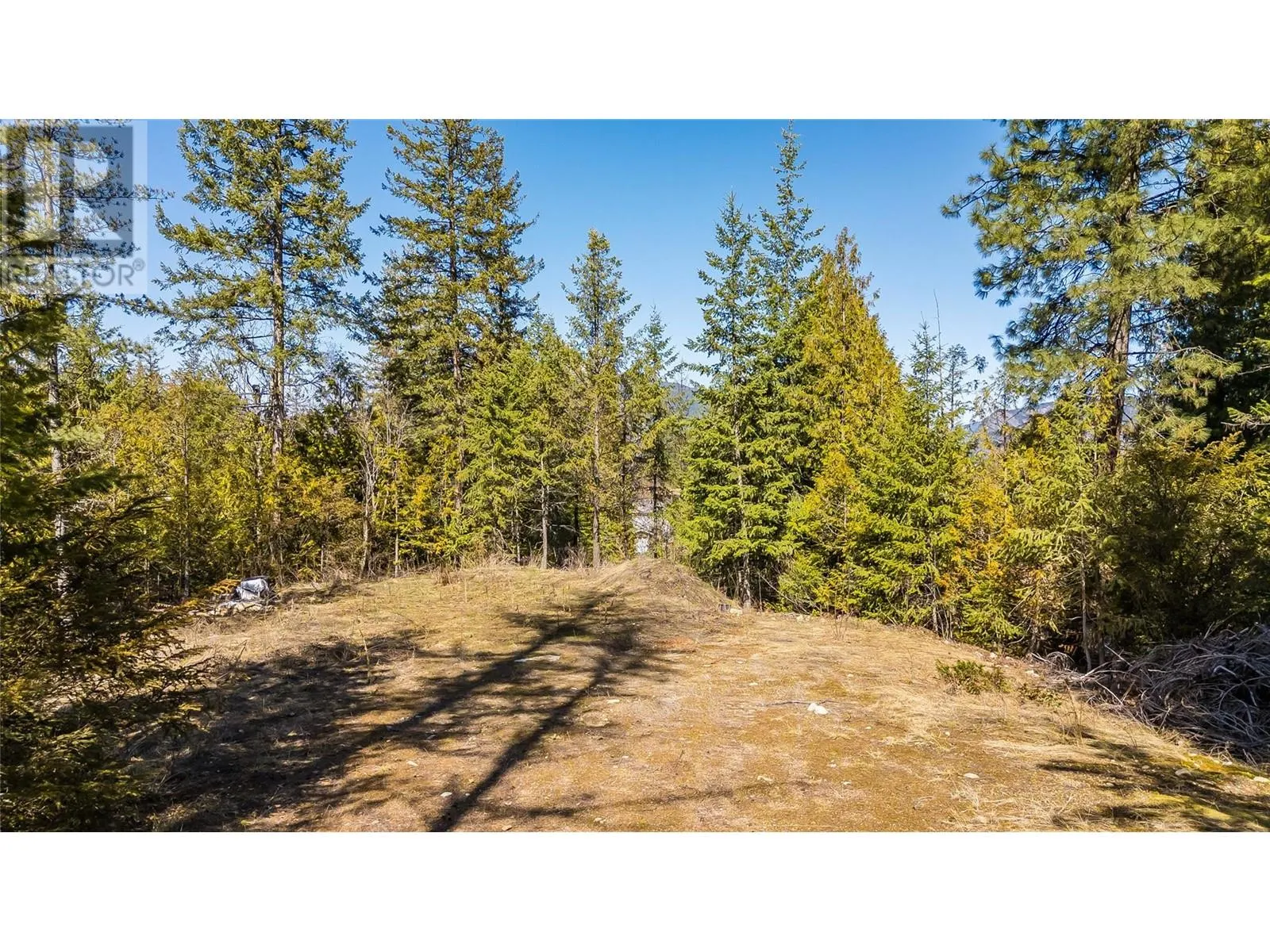 1428 Meadowbrook Drive