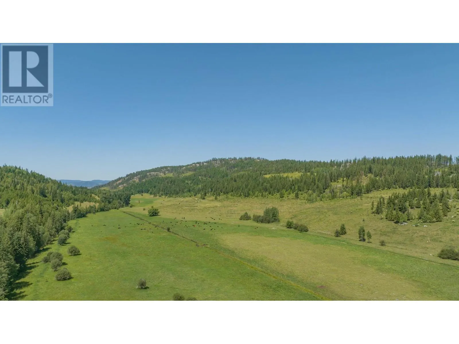 592 Bear Valley Road