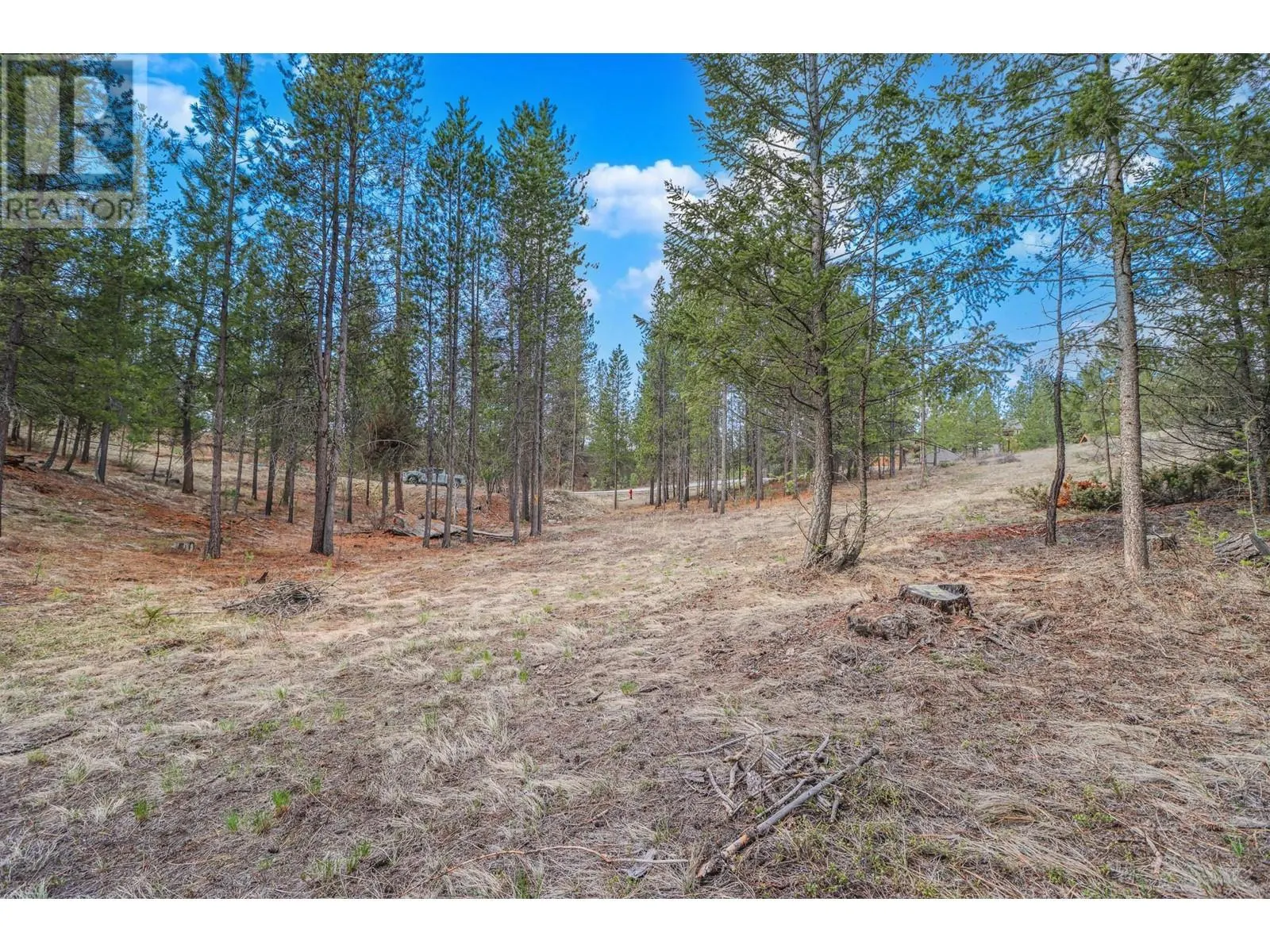 333 CORRAL Close