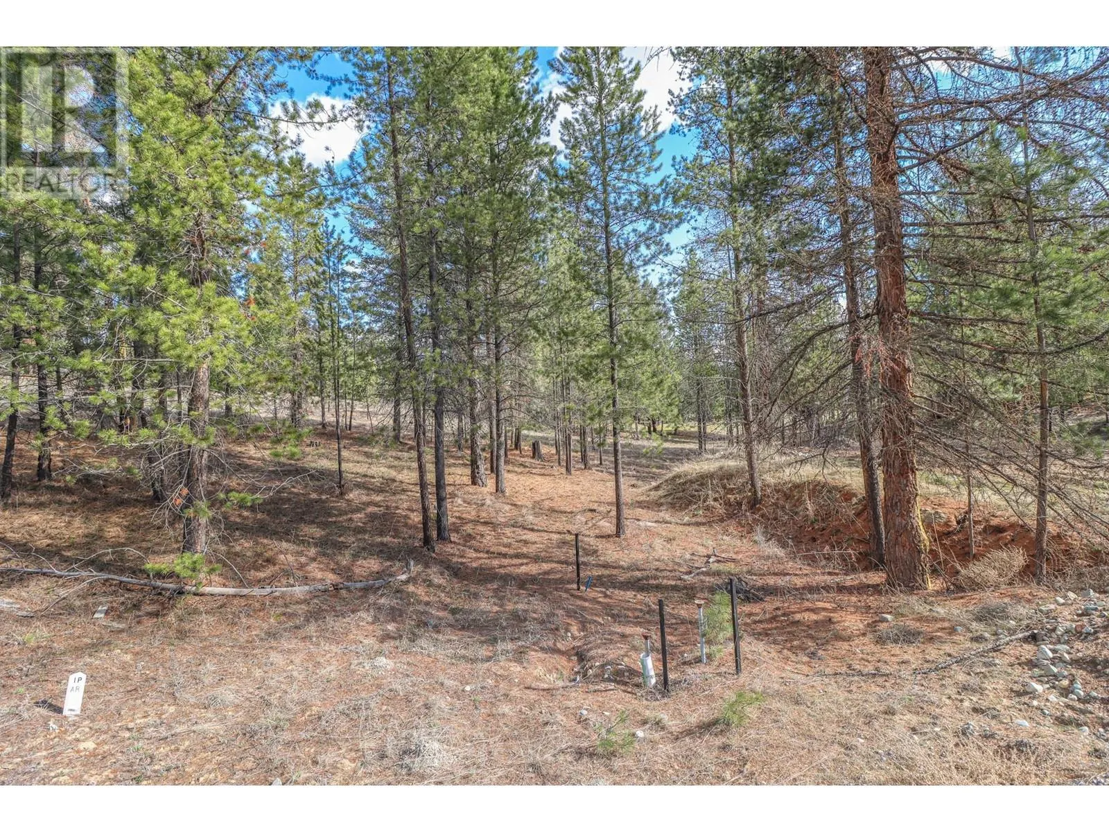333 CORRAL Close
