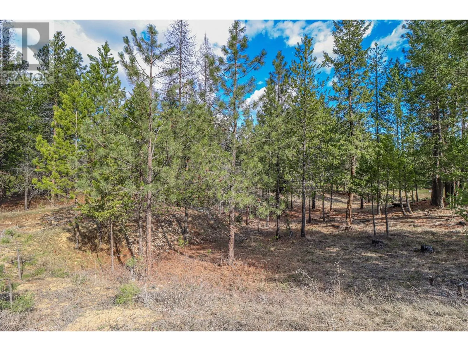 333 CORRAL Close