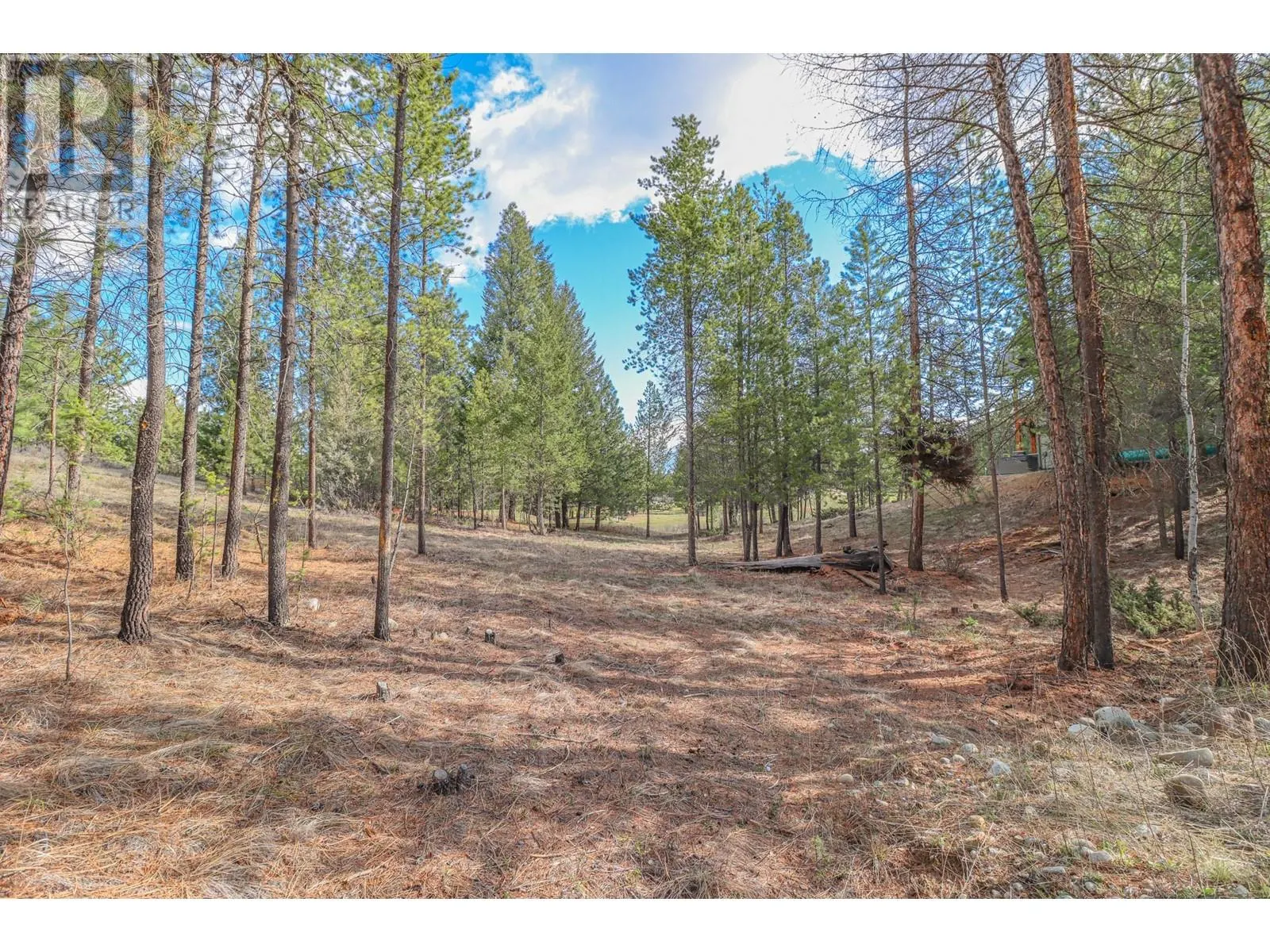 333 CORRAL Close