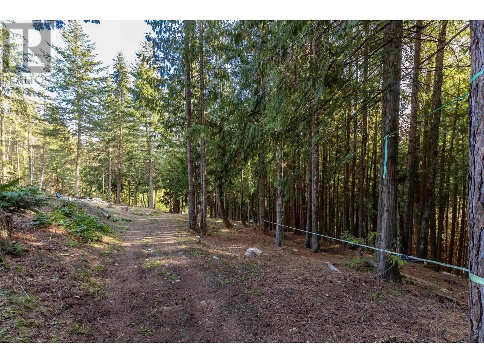 8028 Jackpine Road