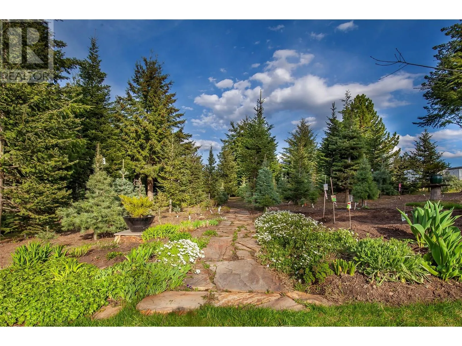 239 Stepping Stones Crescent