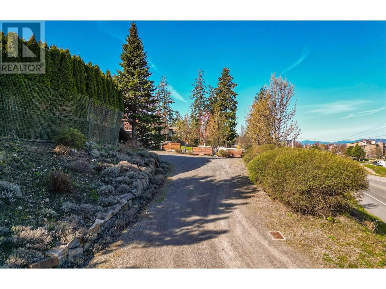 5259 Chute Lake Road