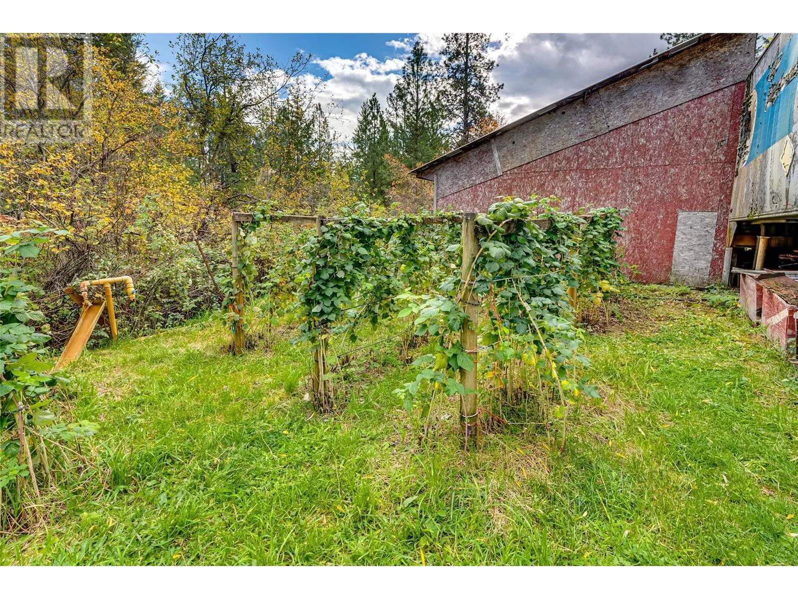 2860 Highway 97 North