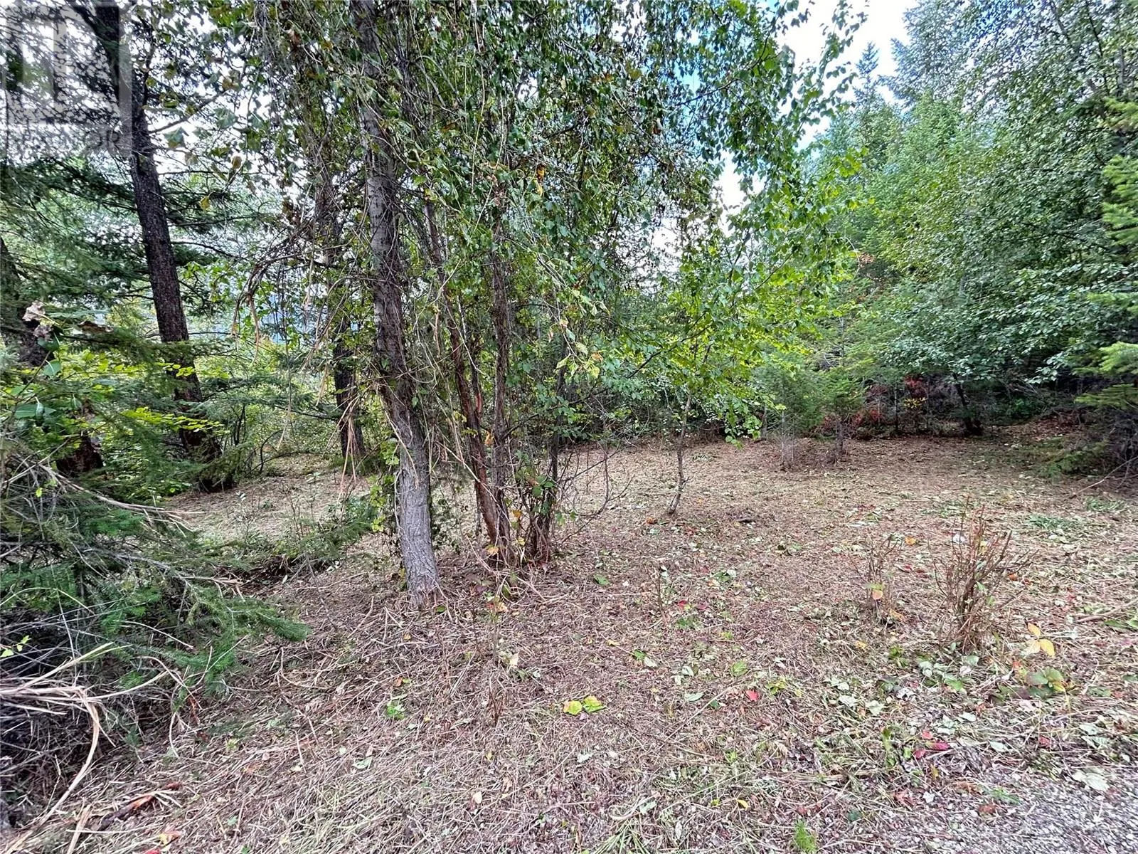 5185 HOT SPRINGS Road
