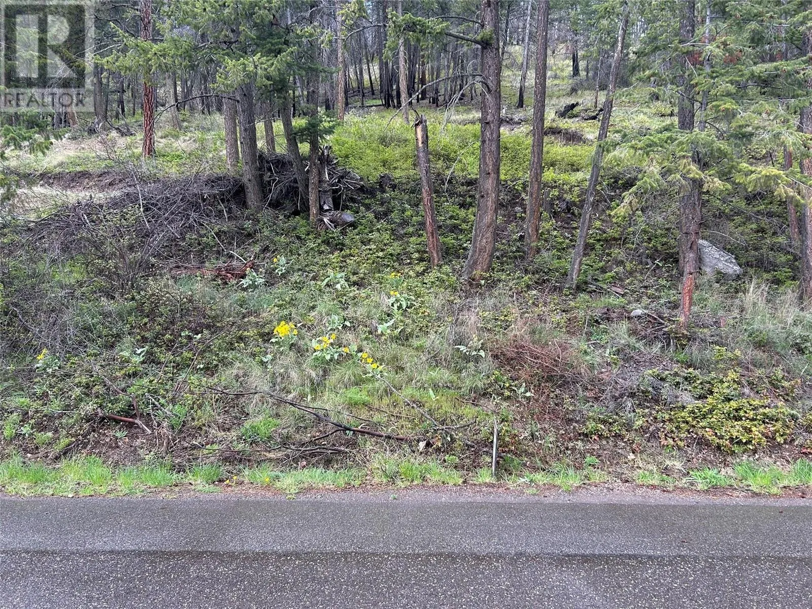 55 Winchester Road