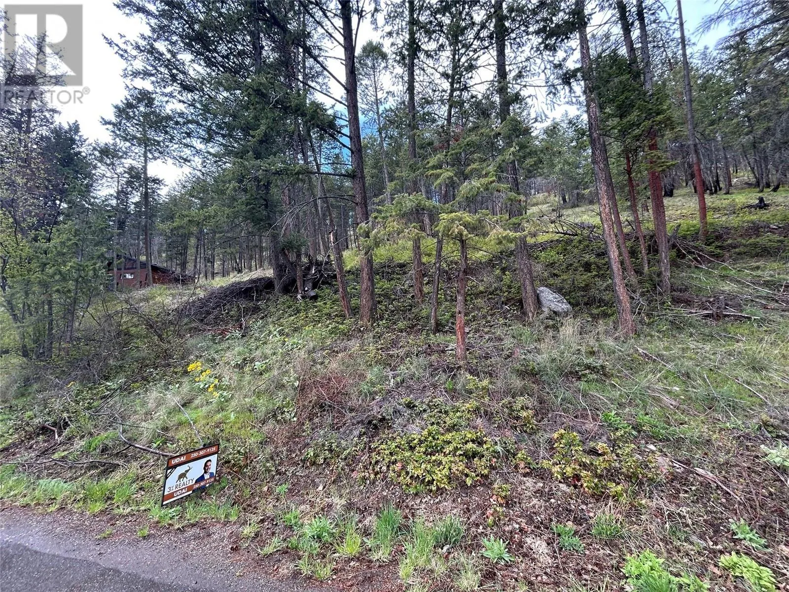 55 Winchester Road