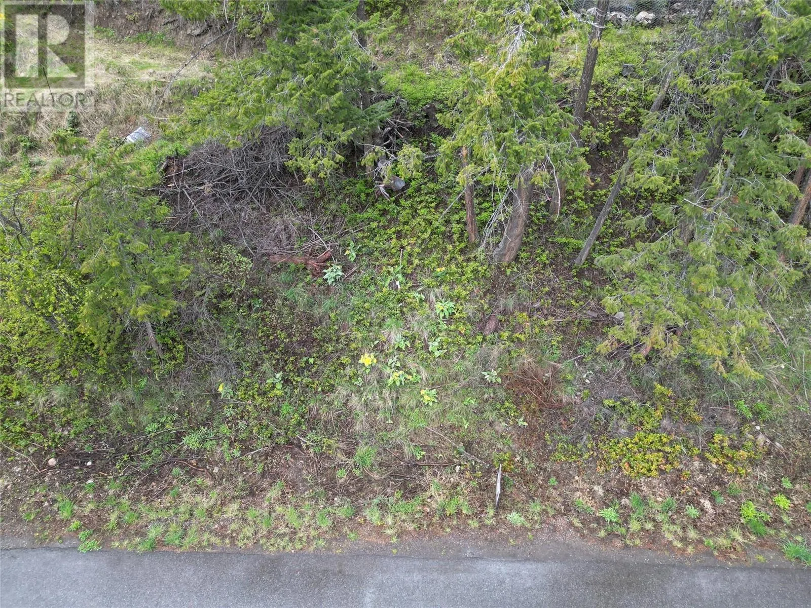 55 Winchester Road