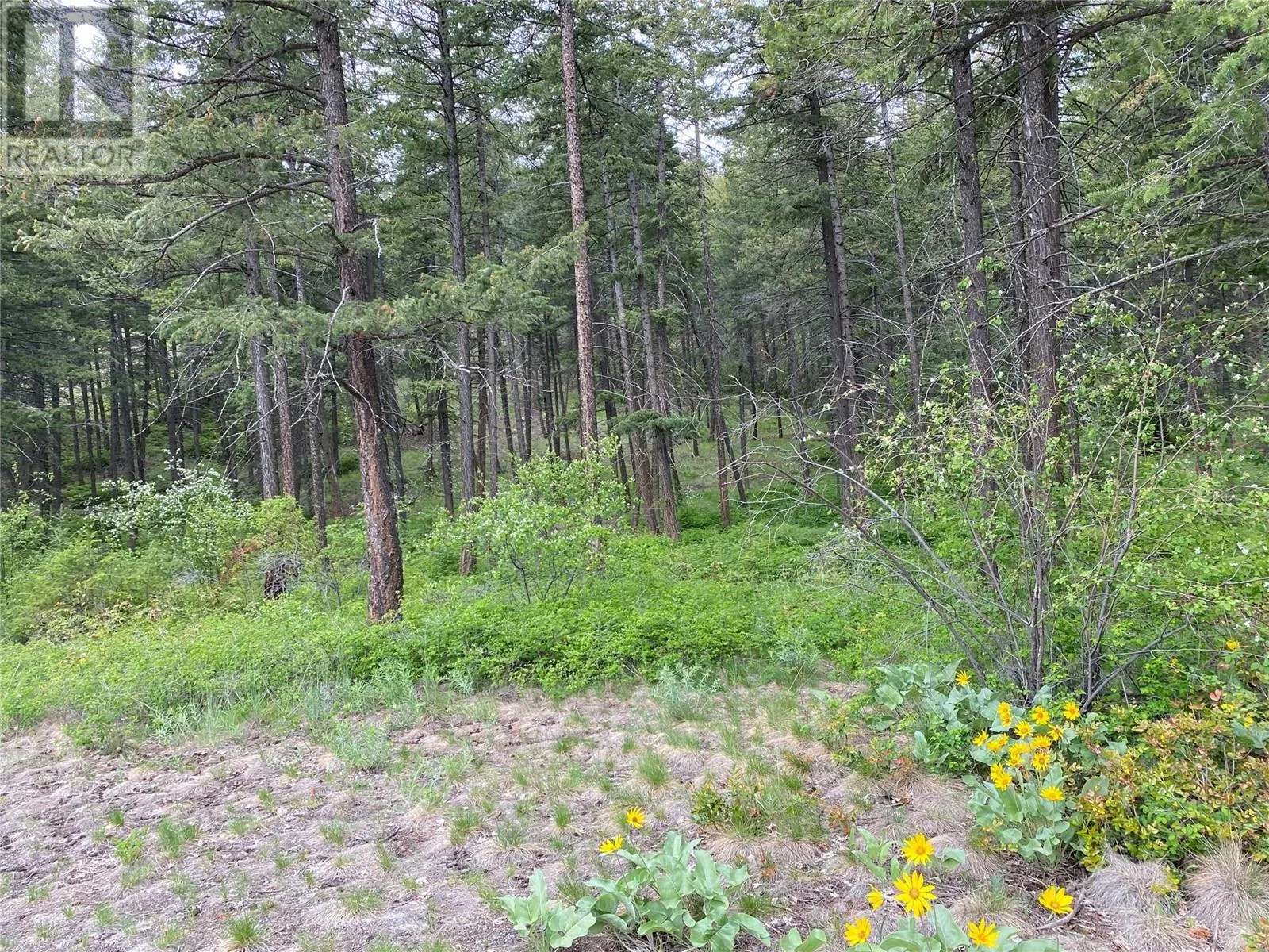 1638 West Kelowna Road