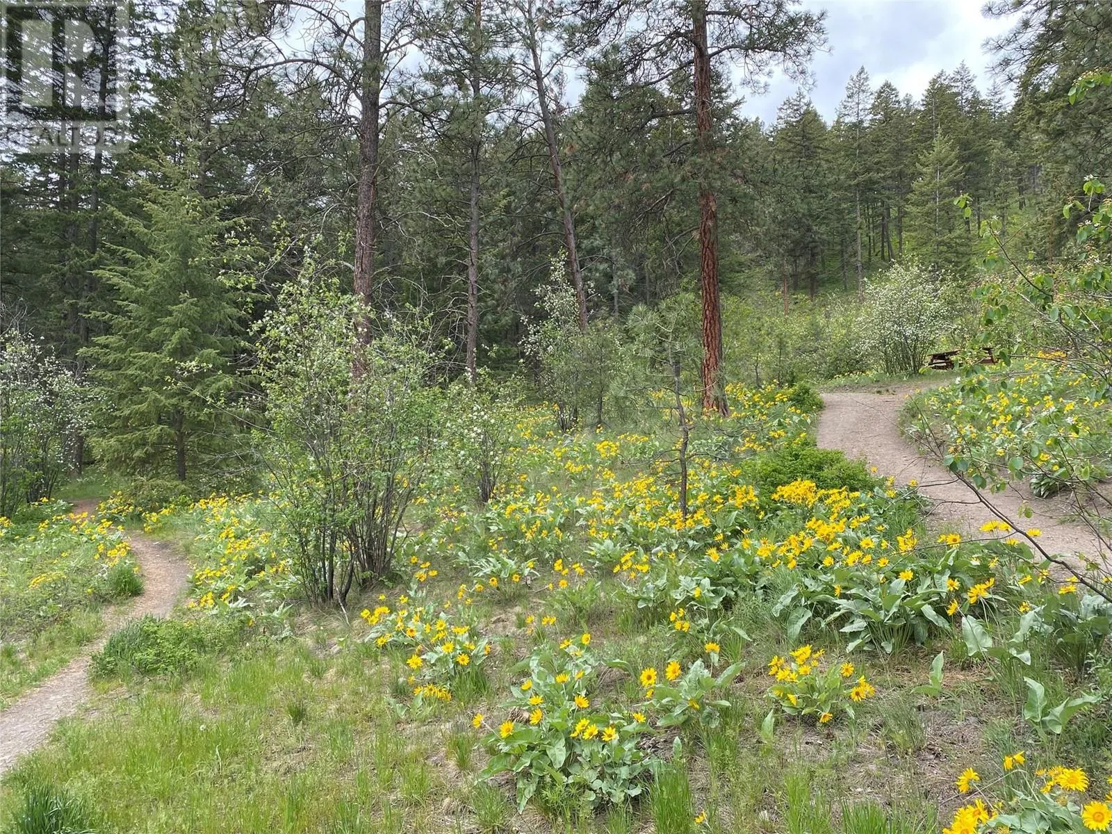 1638 West Kelowna Road