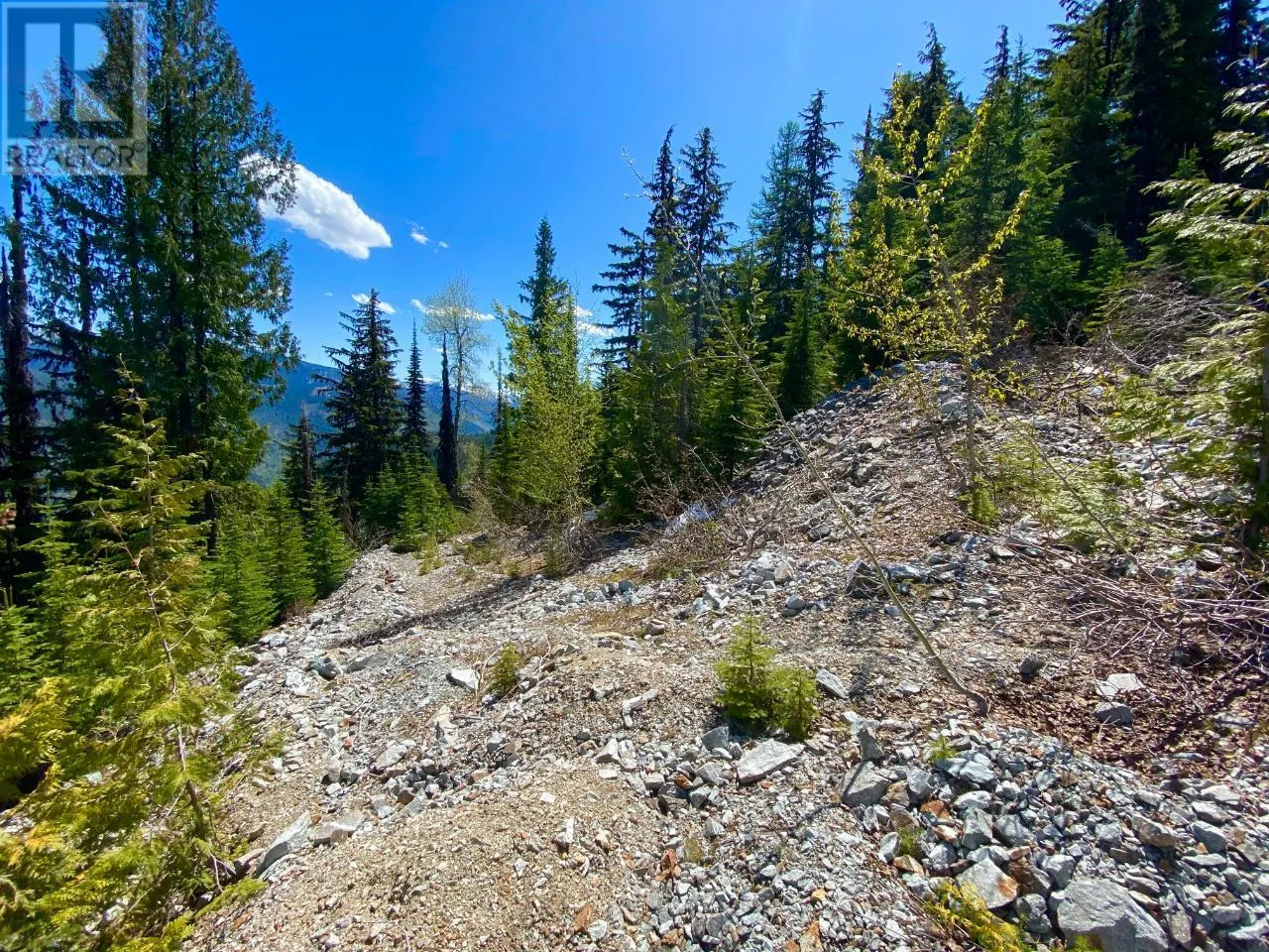 DL 1752 GIVEOUT CREEK FOREST SERVICE Road