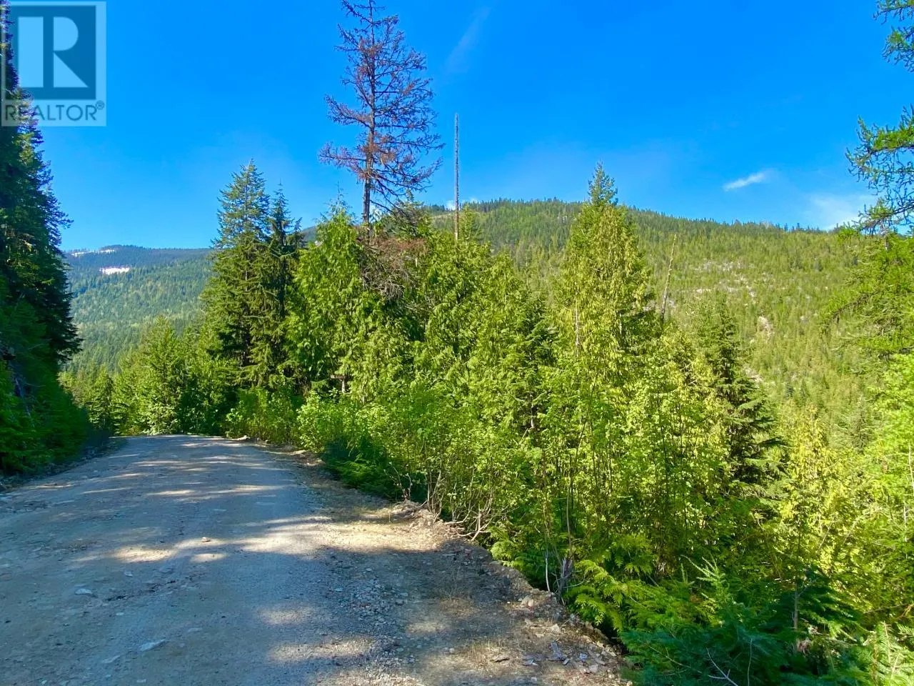 DL 1752 GIVEOUT CREEK FOREST SERVICE Road