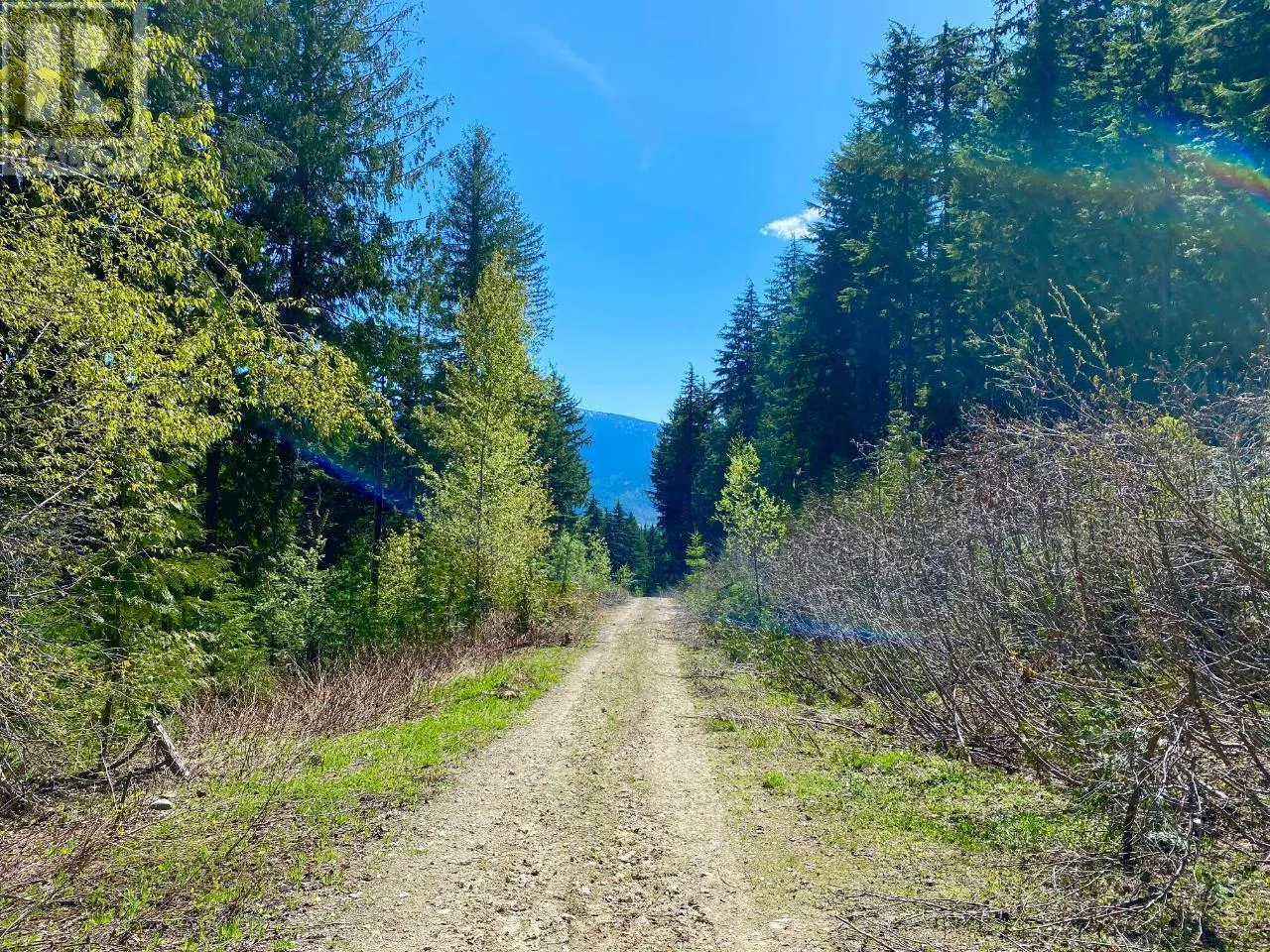 DL 1752 GIVEOUT CREEK FOREST SERVICE Road
