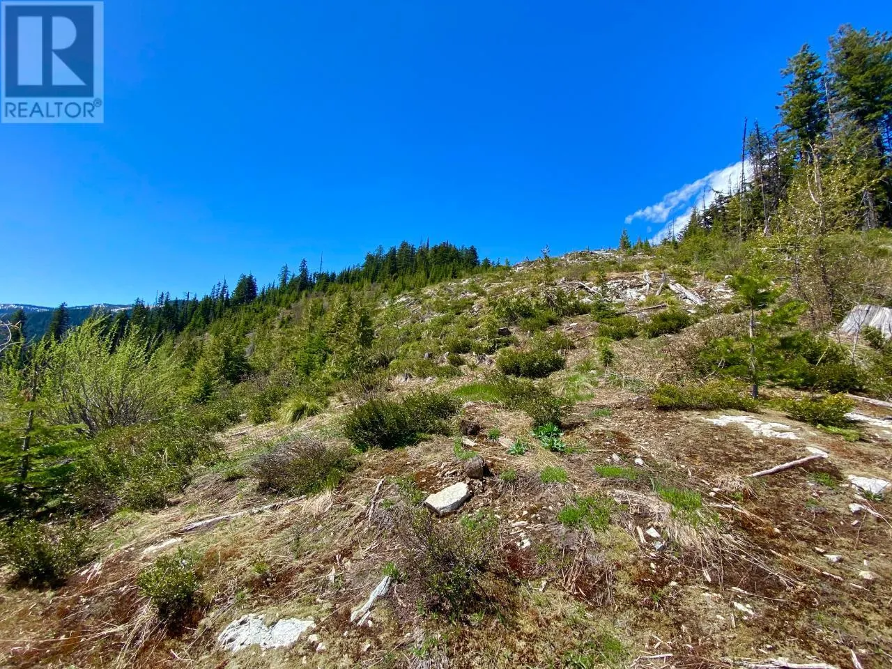 DL 1752 GIVEOUT CREEK FOREST SERVICE Road