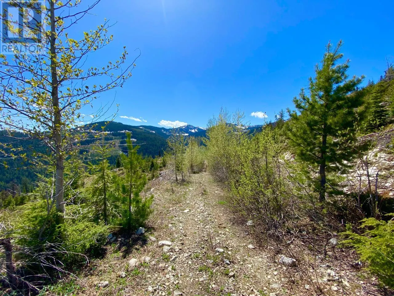 DL 1752 GIVEOUT CREEK FOREST SERVICE Road