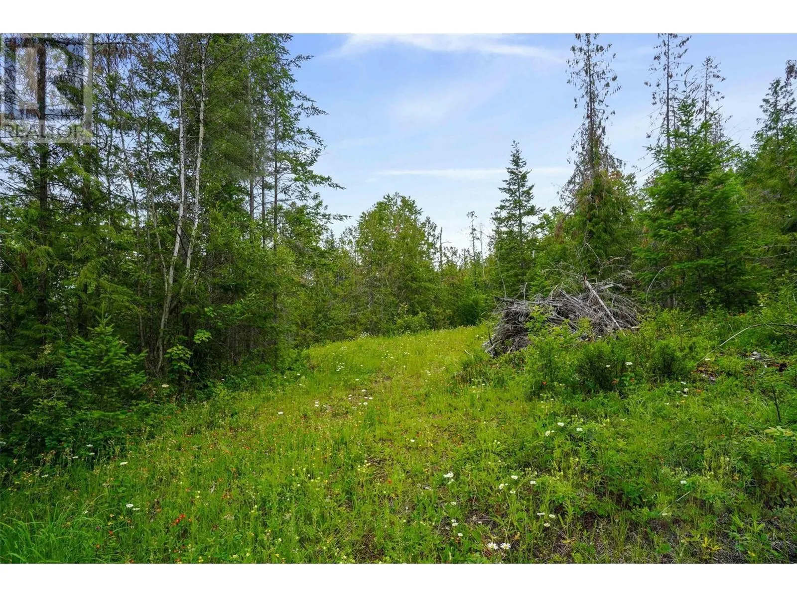PH 3 Tatlow Road SE Lot# Lot 4