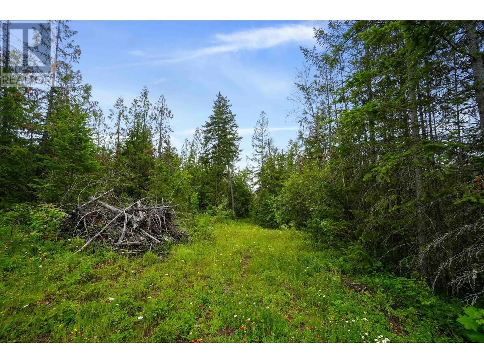 PH 3 Tatlow Road SE Lot# Lot 4