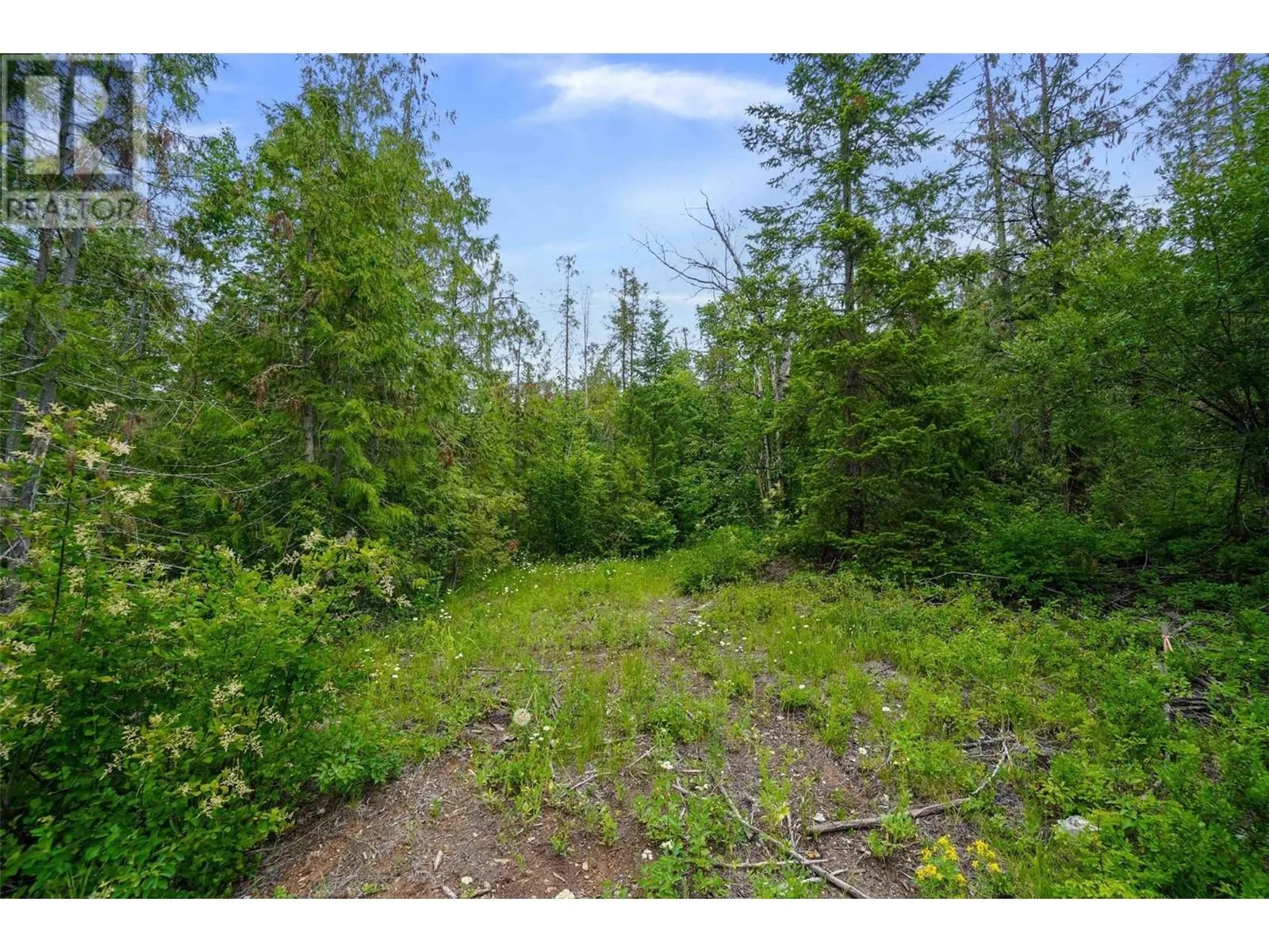 PH 3 Tatlow Road SE Lot# Lot 4