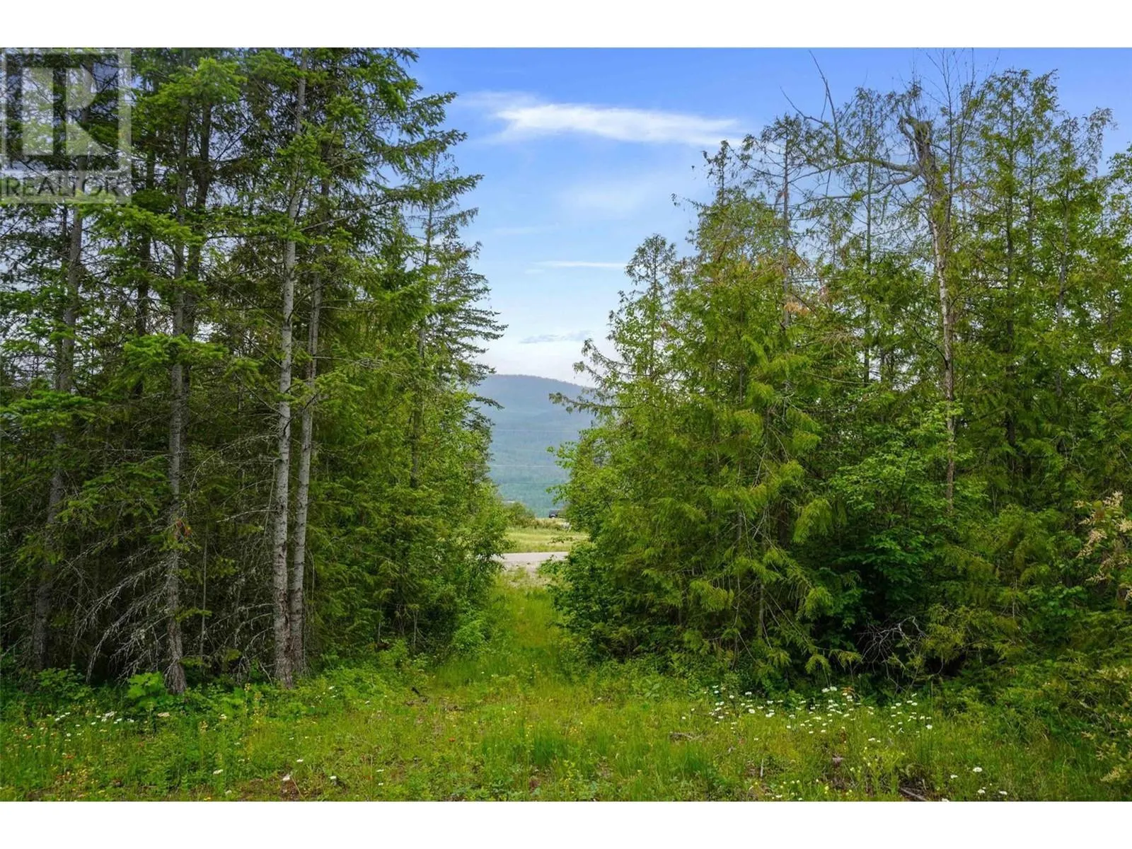 PH 3 Tatlow Road SE Lot# Lot 4