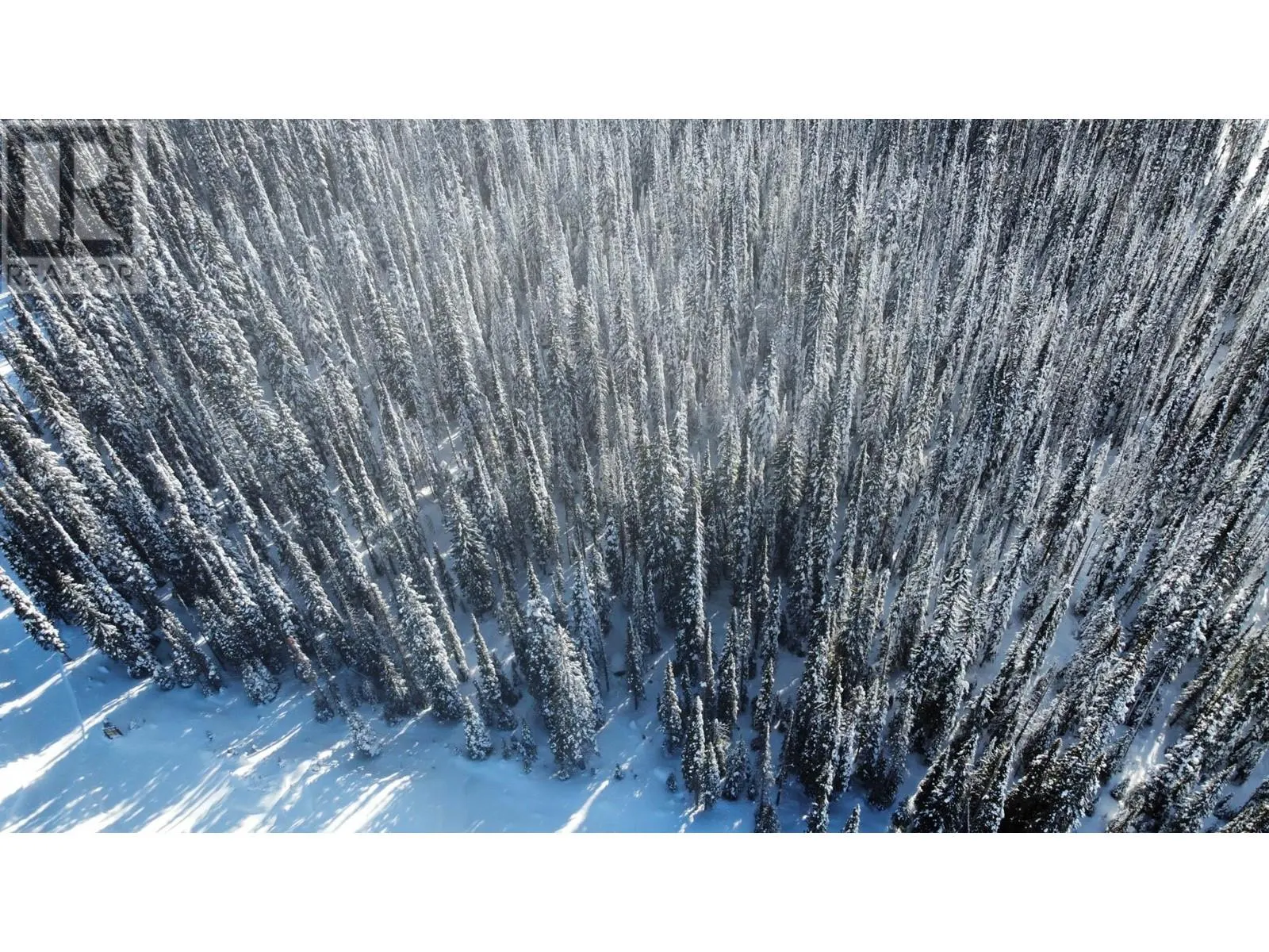 DL4259 Black Forest Road