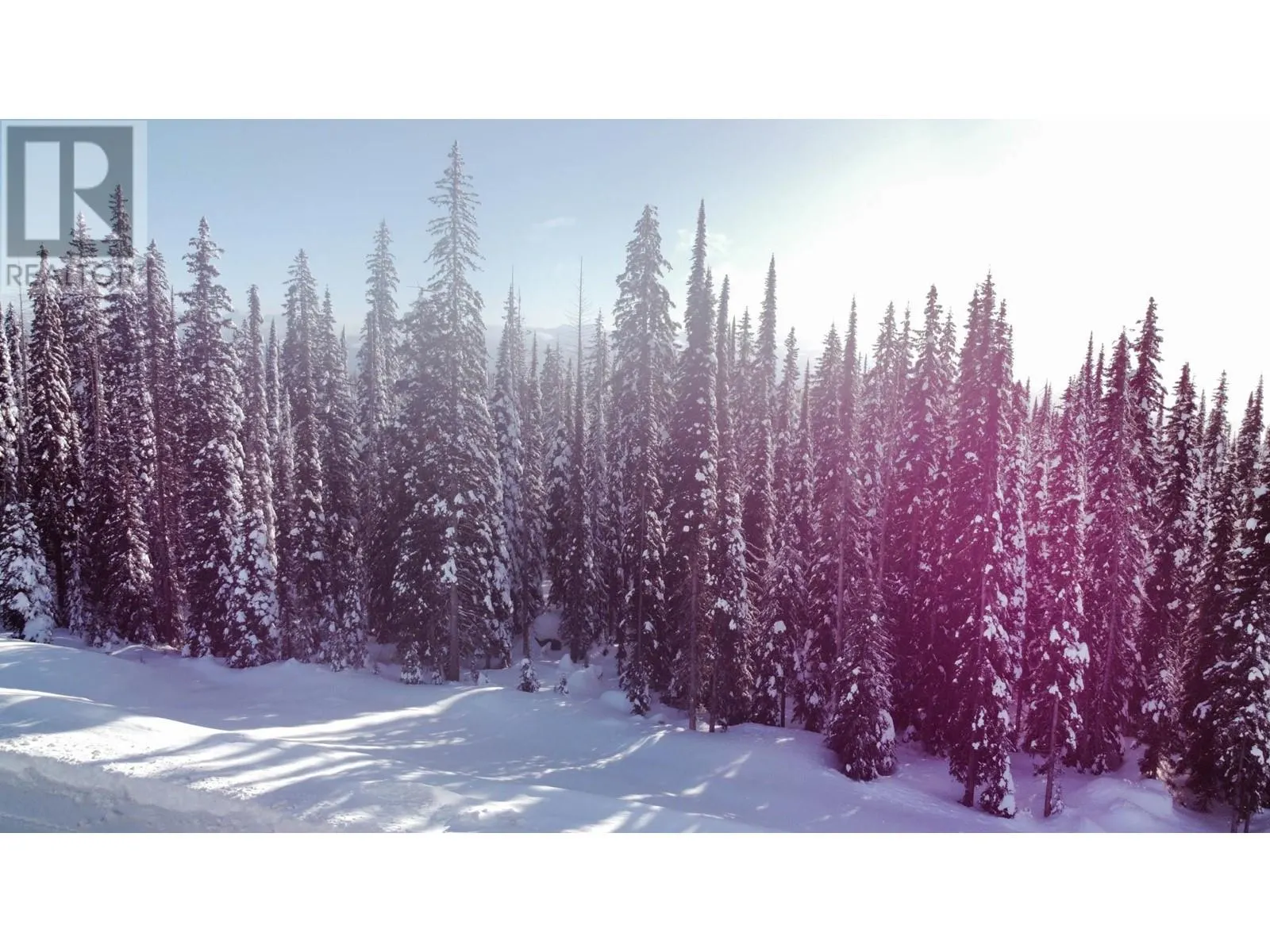 DL4259 Black Forest Road