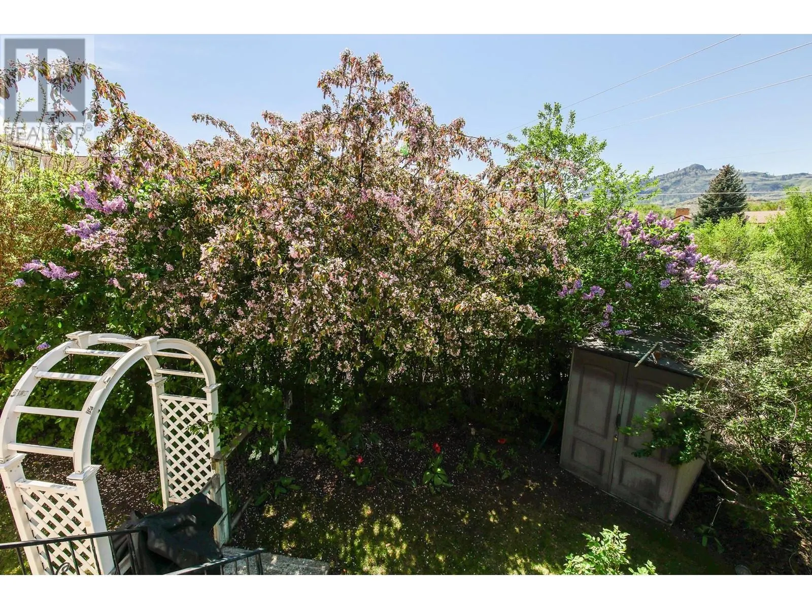 3 Dogwood Place